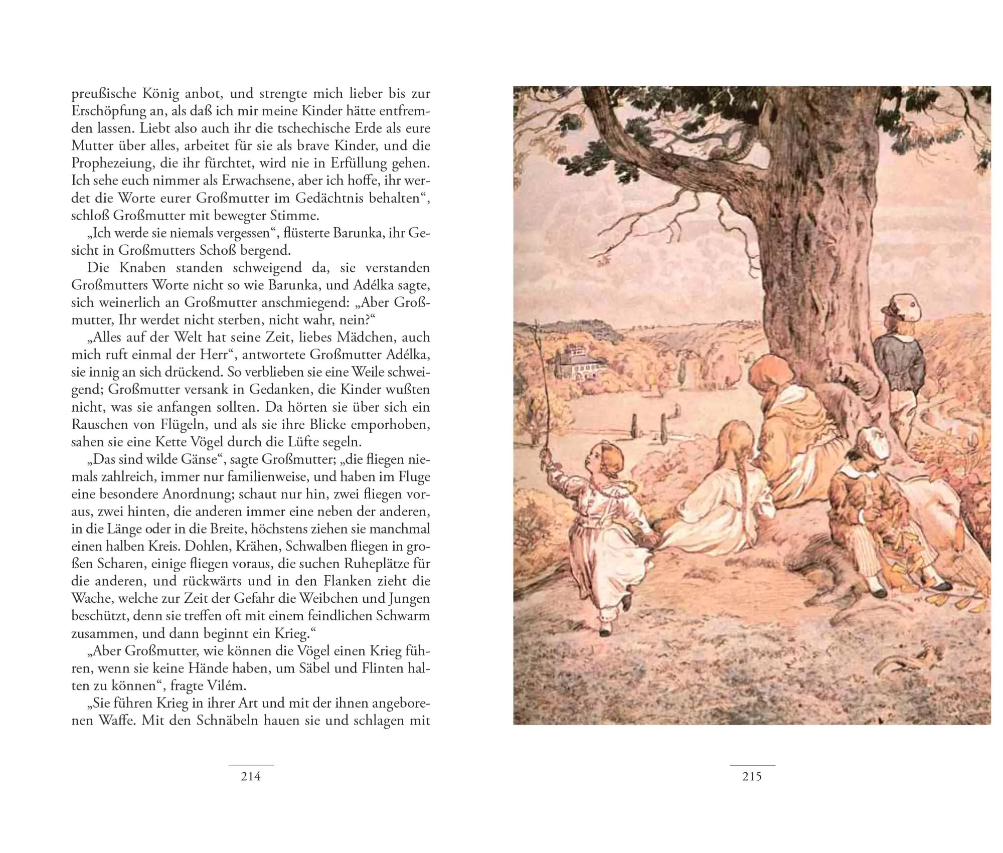 Bild: 9783899198720 | Großmütterchen (Babicka) | Bozena Nemcová | Taschenbuch | Deutsch