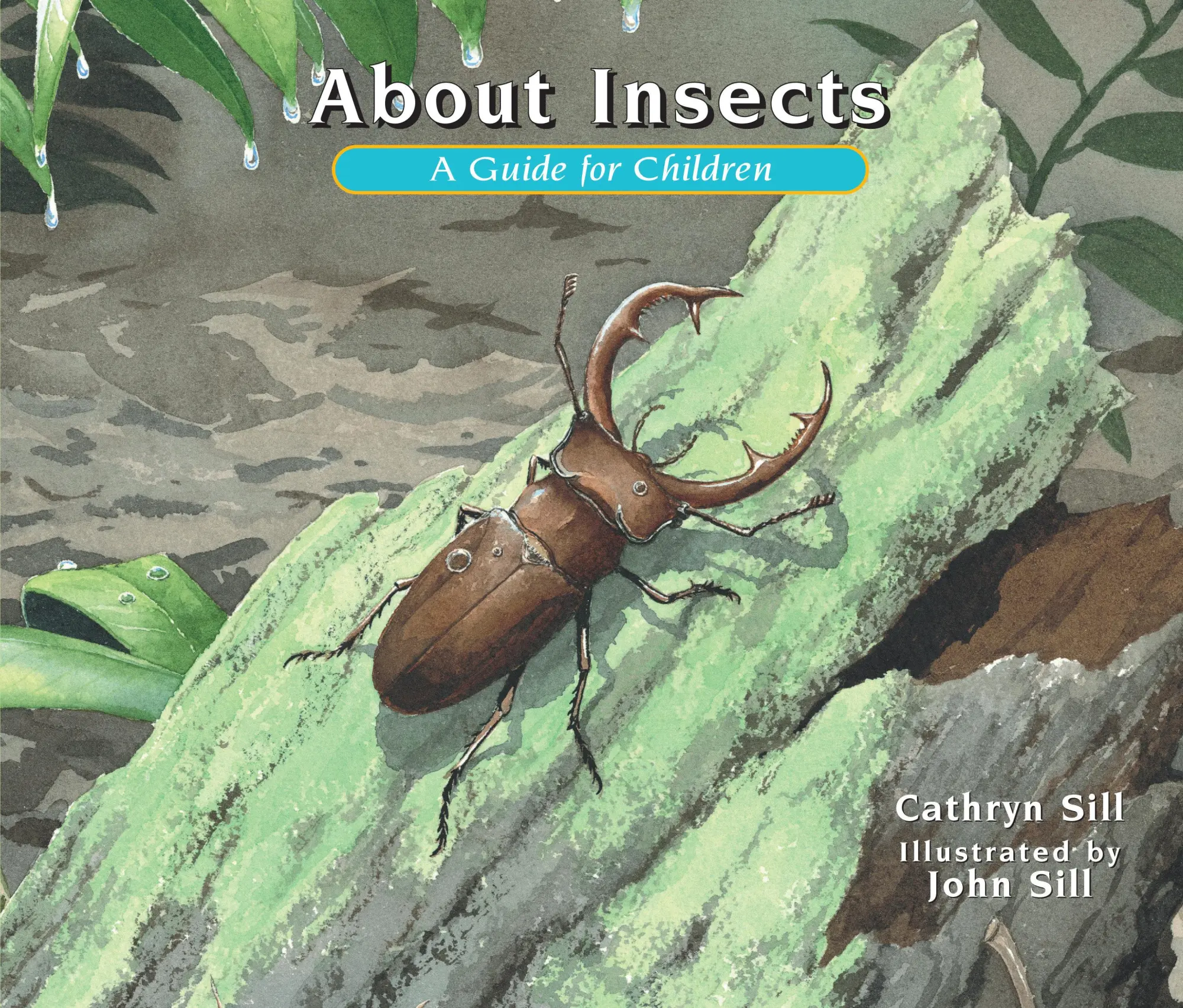 Cover: 9781561458820 | About Insects | A Guide for Children | Cathryn Sill | Taschenbuch