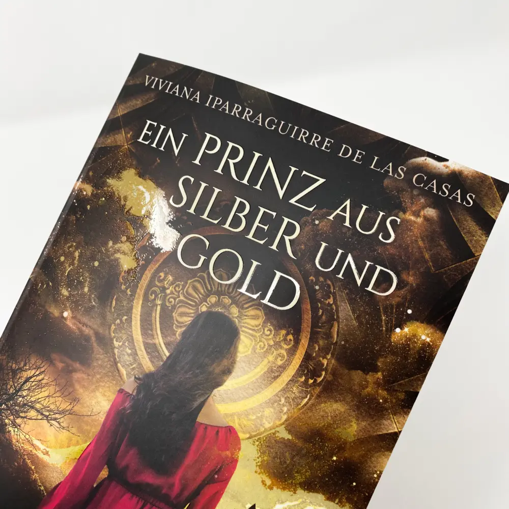 Bild: 9783423718820 | Ein Prinz aus Silber und Gold | Viviana Iparraguirre De las Casas
