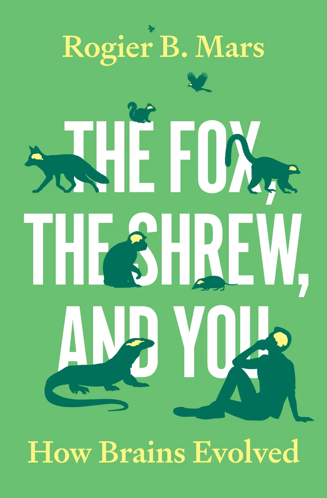 Cover: 9780691238920 | The Fox, the Shrew, and You | How Brains Evolved | Rogier B. Mars