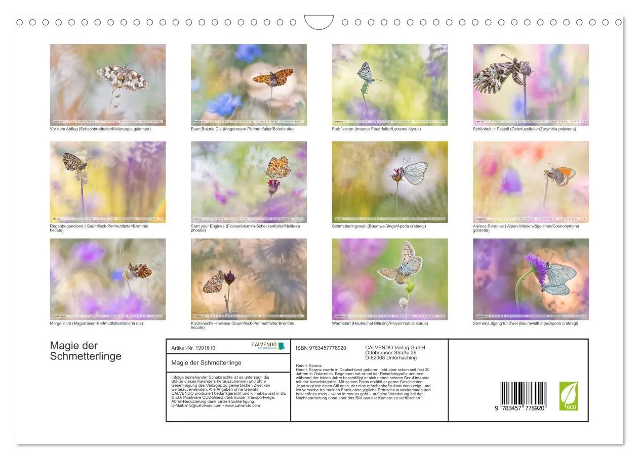 Bild: 9783457778920 | Magie der Schmetterlinge (Wandkalender 2026 DIN A3 quer), CALVENDO...