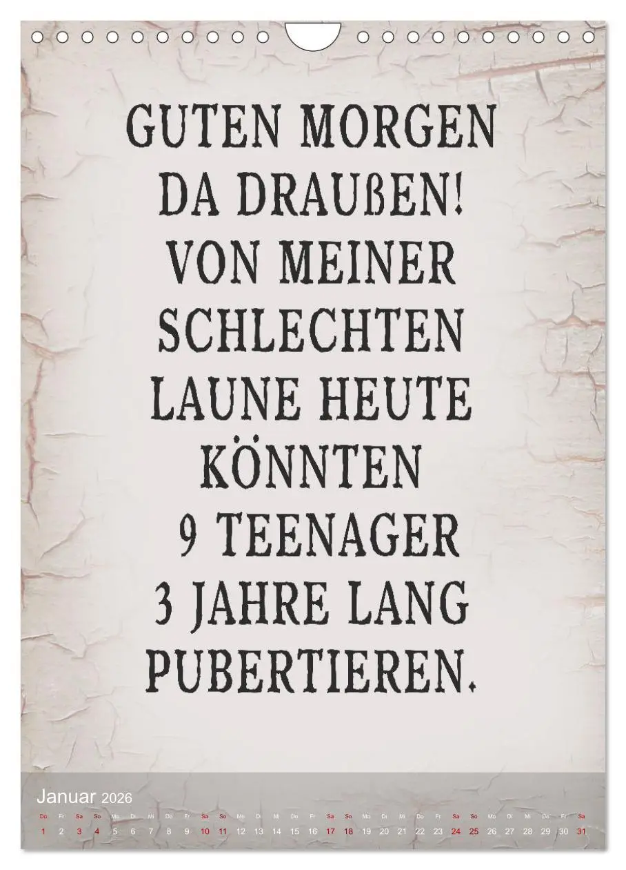 Bild: 9783516248920 | Ziemlich schlecht gelaunt (Wandkalender 2026 DIN A4 hoch), CALVENDO...