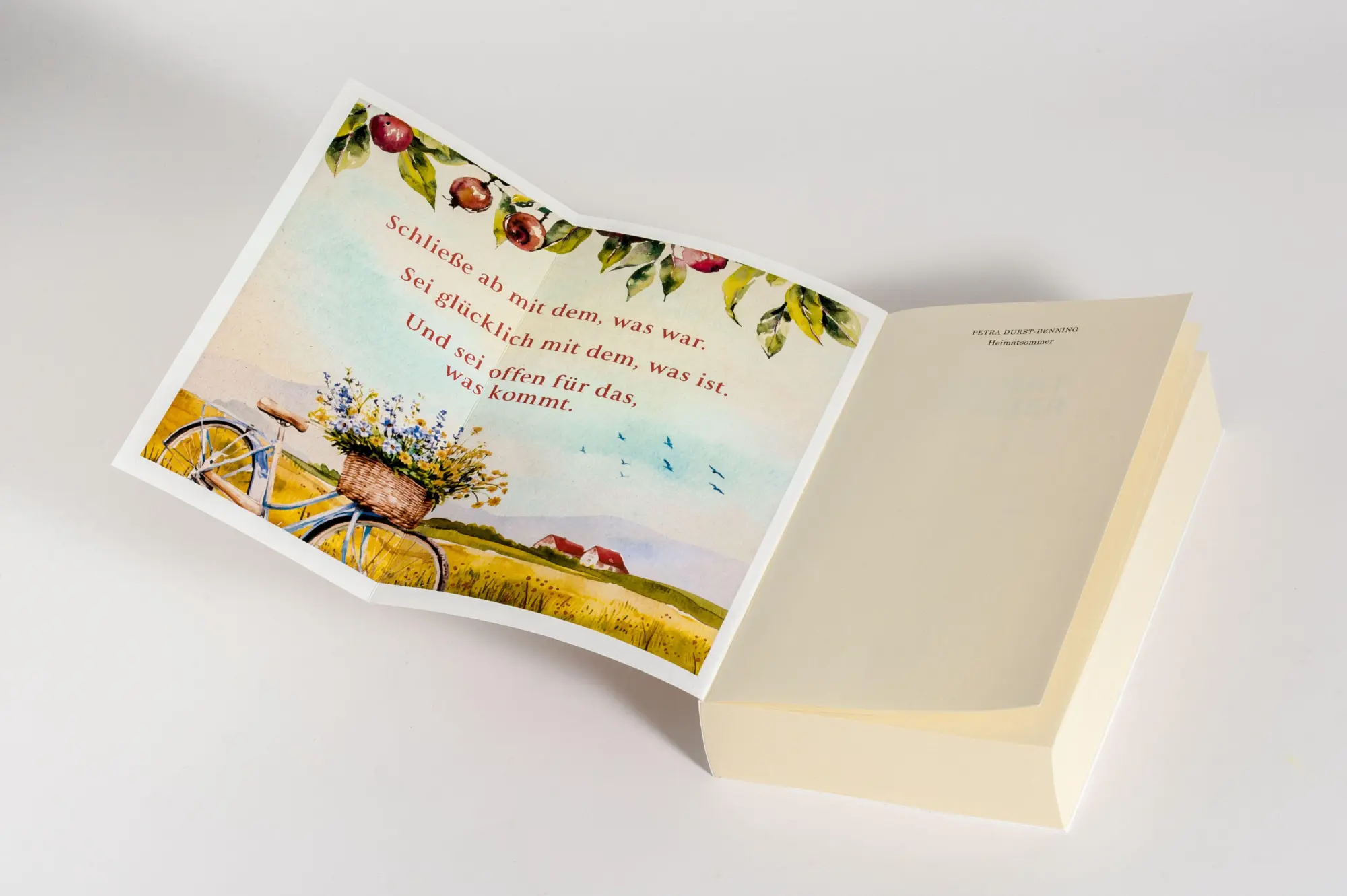 Bild: 9783764508920 | Heimatsommer | Petra Durst-Benning | Taschenbuch | 448 S. | Deutsch