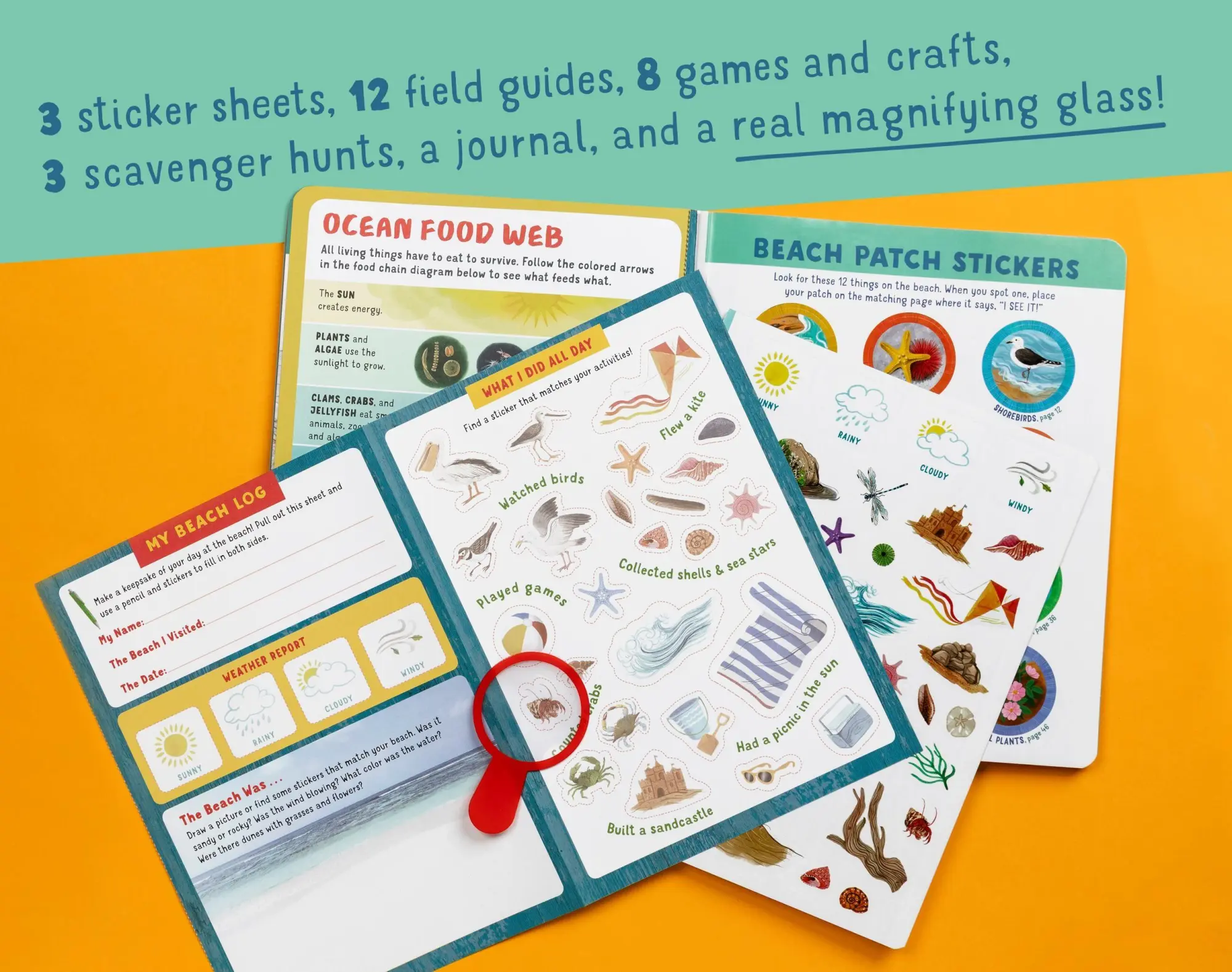 Bild: 9781612129020 | Backpack Explorer: Beach Walk | Editors Of Storey Publishing | Buch