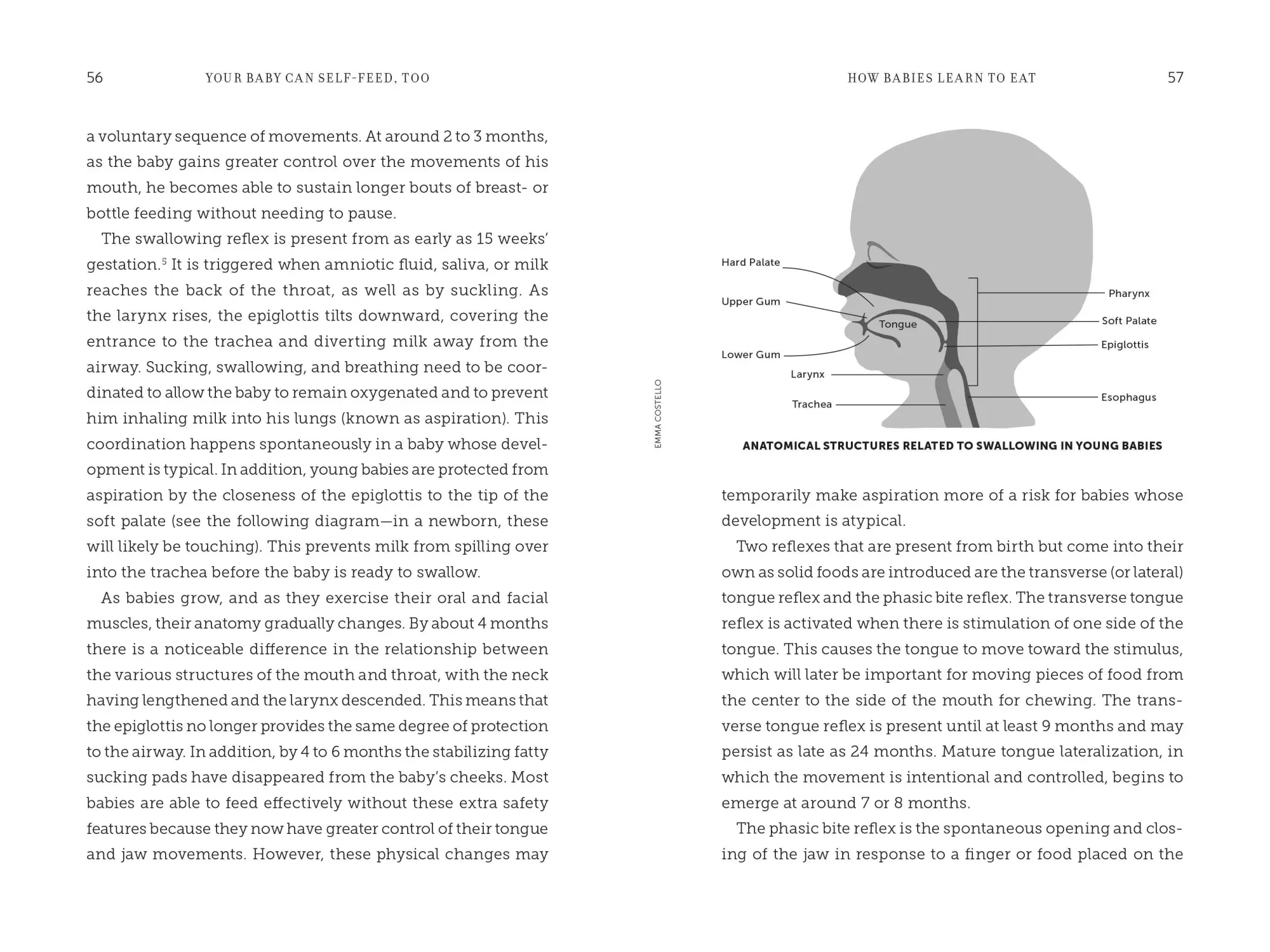 Bild: 9781615199020 | Your Baby Can Self-Feed, Too | Jill Rabin (u. a.) | Taschenbuch | 2022