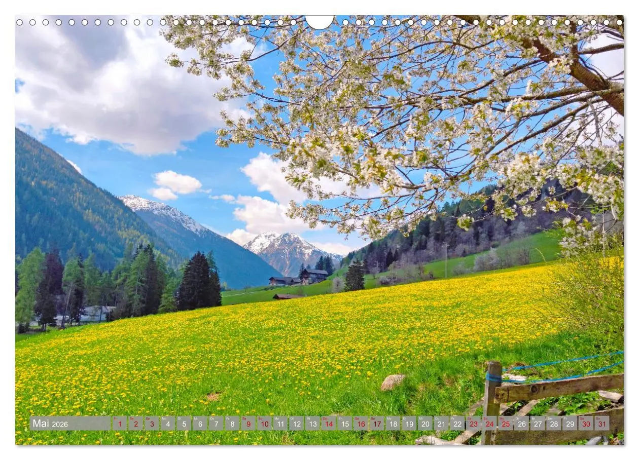 Bild: 9783457429020 | Erlebnis Ultental (Wandkalender 2026 DIN A3 quer), CALVENDO...