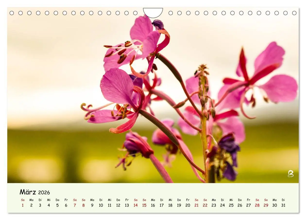 Bild: 9783457739020 | Entdecke den Yukon (Wandkalender 2026 DIN A4 quer), CALVENDO...