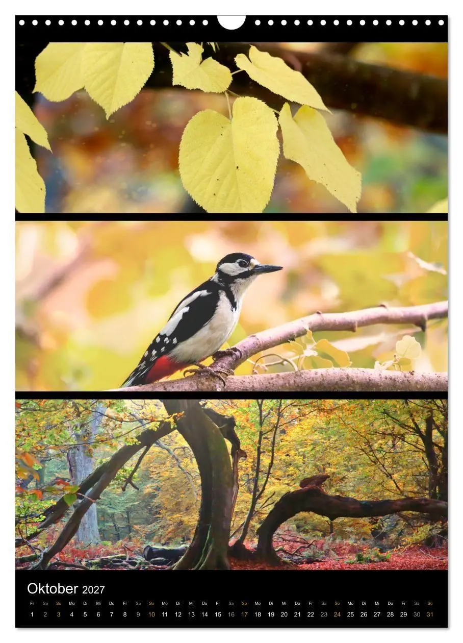 Bild: 9783569469020 | Bezaubernde Farben der Natur (Wandkalender 2027 DIN A3 hoch),...
