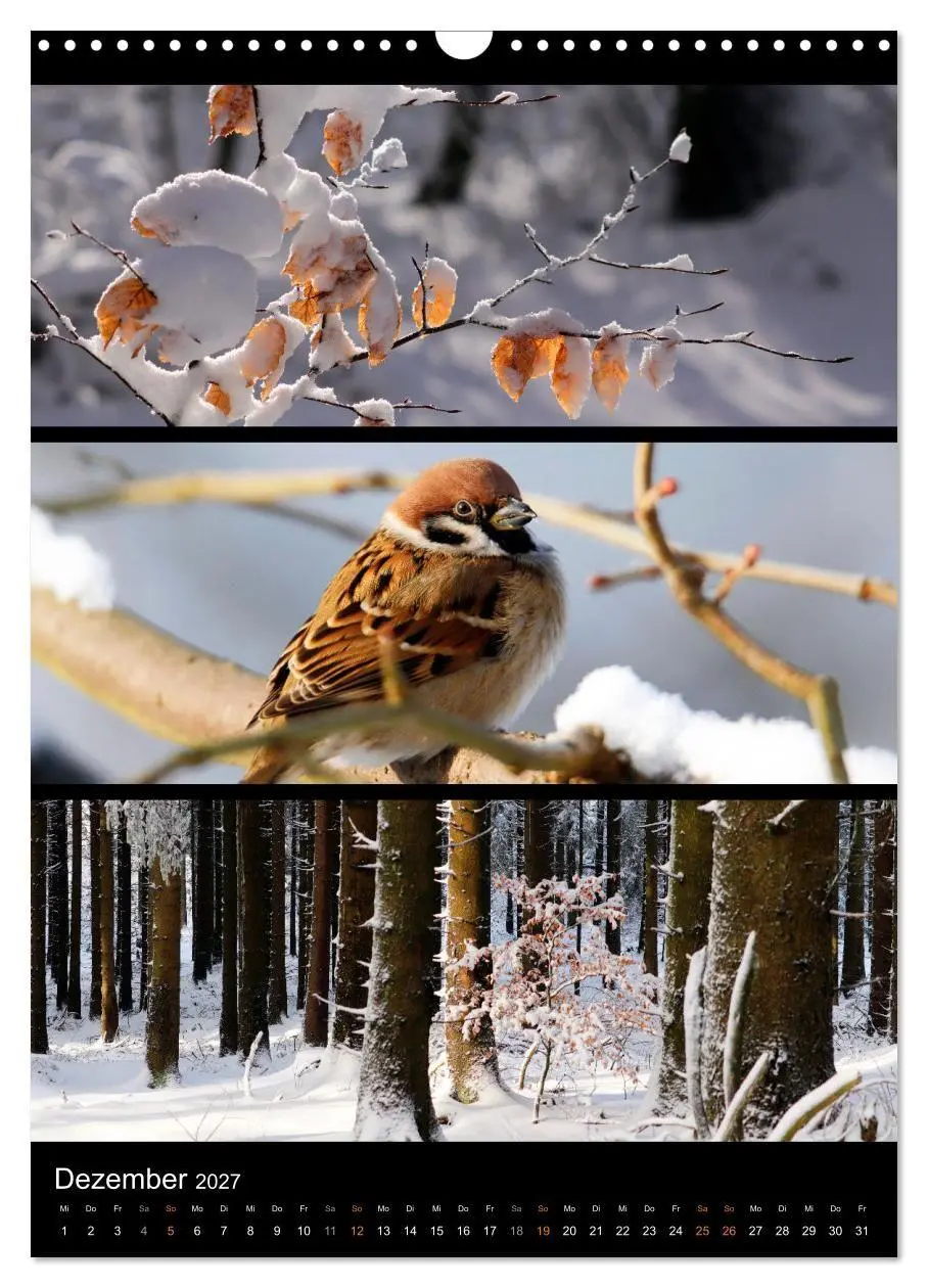 Bild: 9783569469020 | Bezaubernde Farben der Natur (Wandkalender 2027 DIN A3 hoch),...