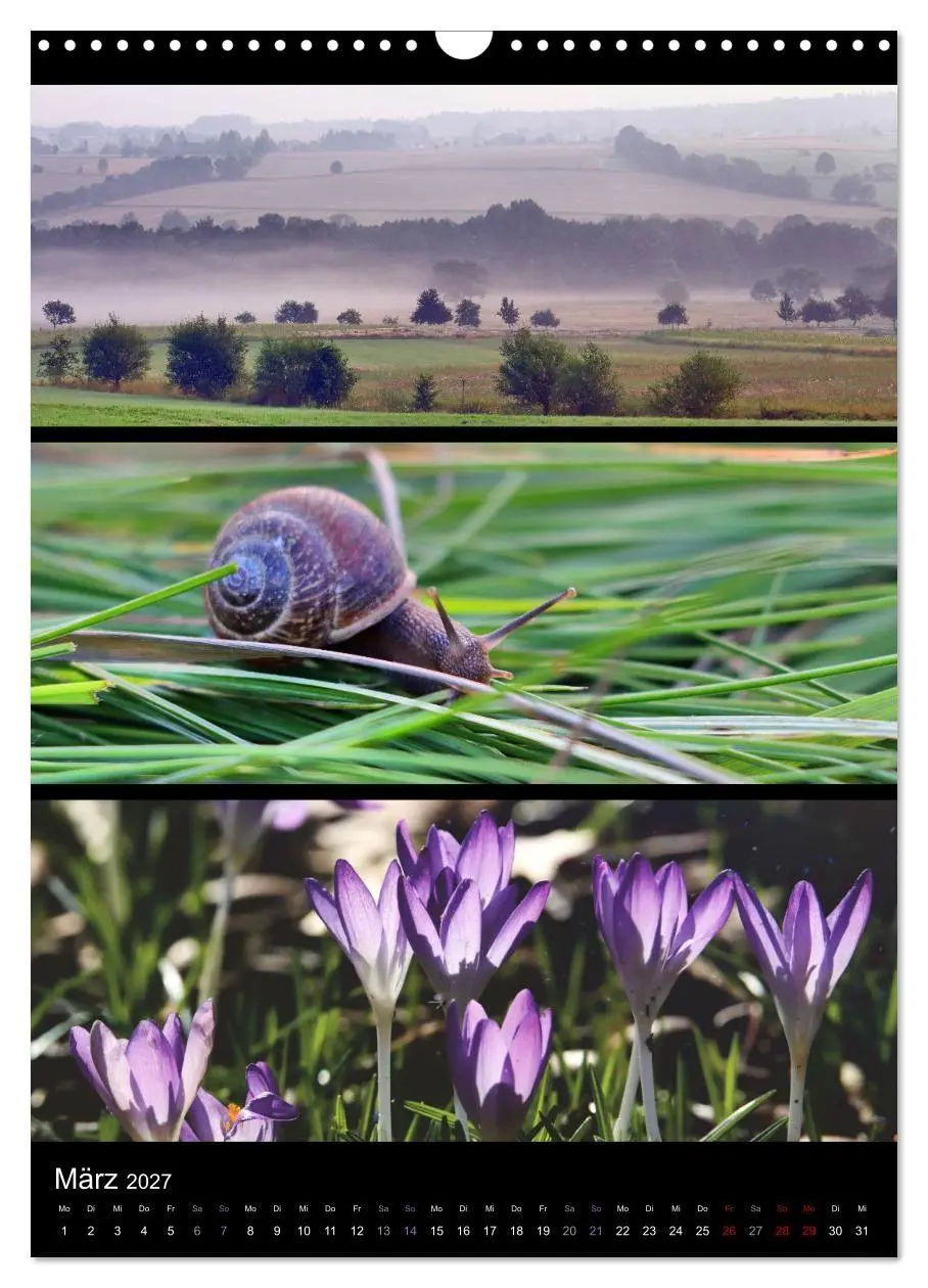 Bild: 9783569469020 | Bezaubernde Farben der Natur (Wandkalender 2027 DIN A3 hoch),...