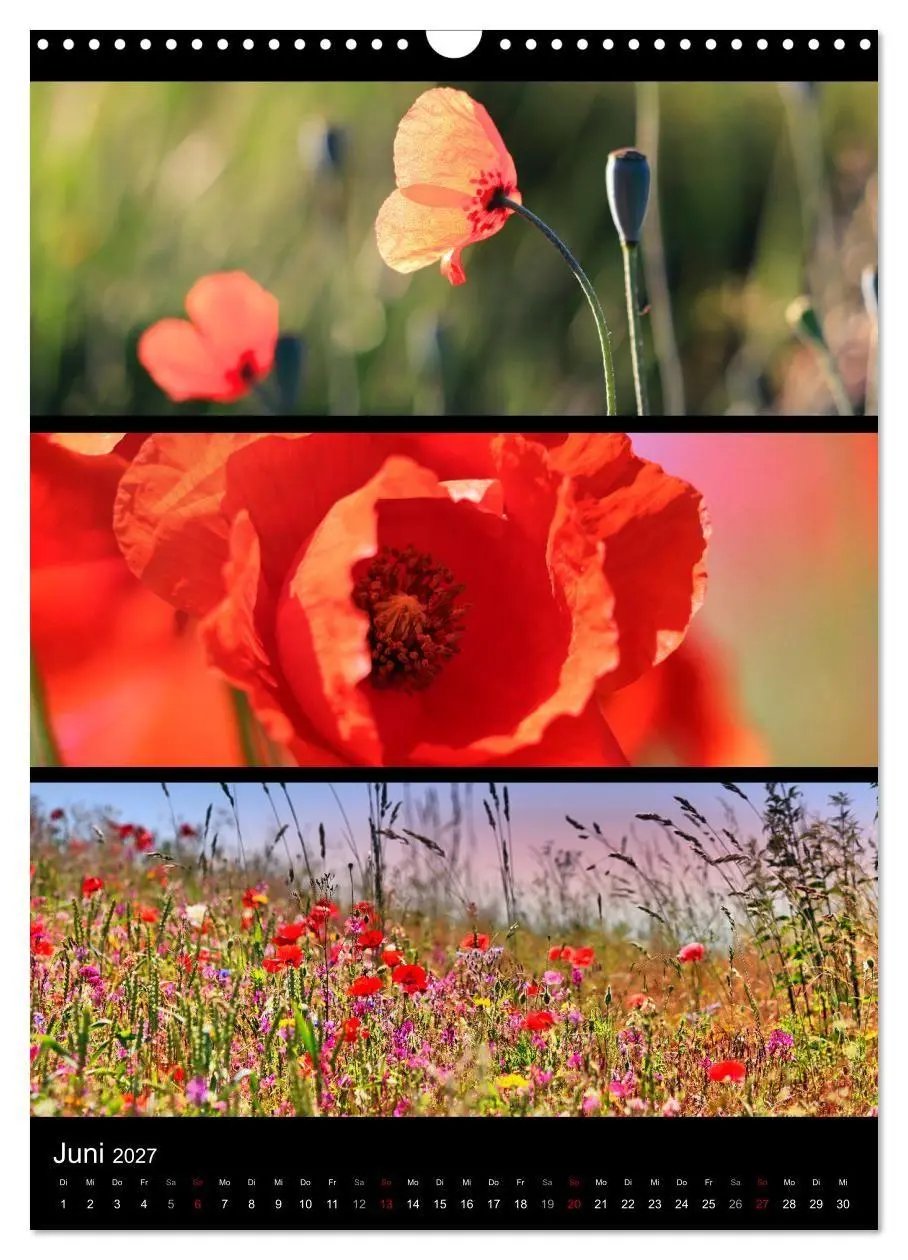Bild: 9783569469020 | Bezaubernde Farben der Natur (Wandkalender 2027 DIN A3 hoch),...