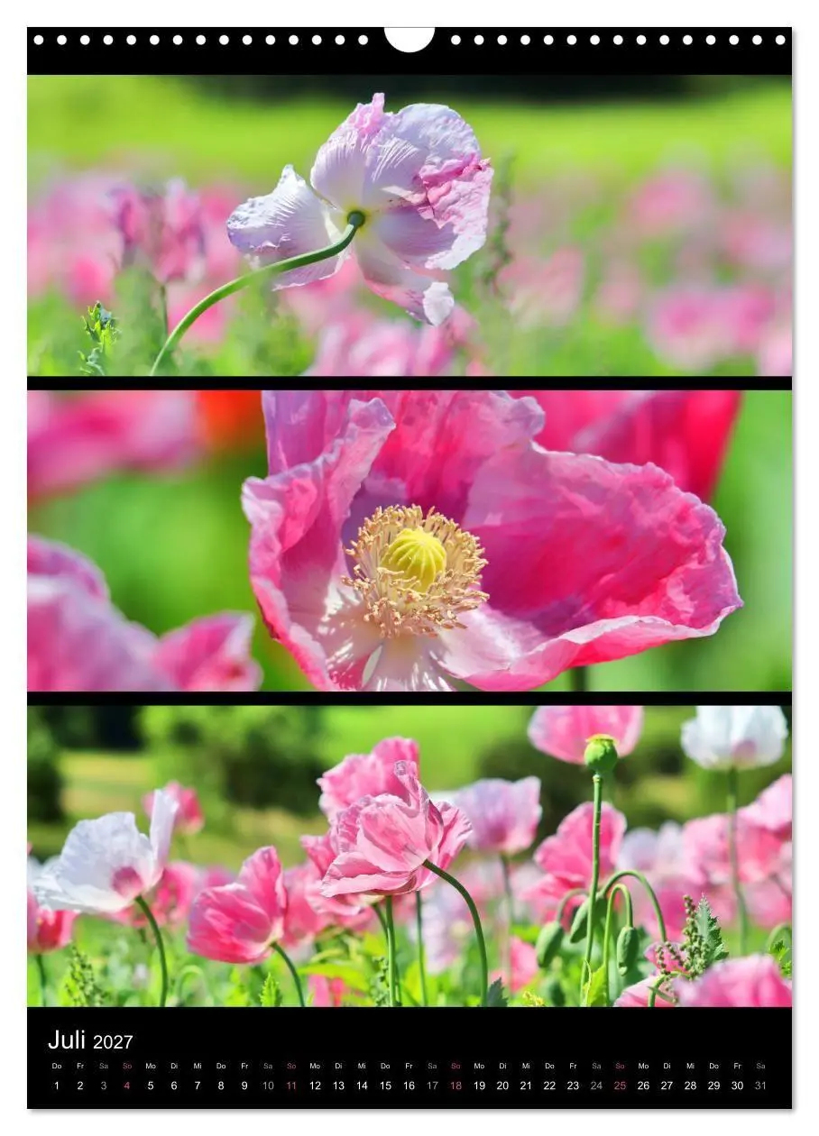 Bild: 9783569469020 | Bezaubernde Farben der Natur (Wandkalender 2027 DIN A3 hoch),...