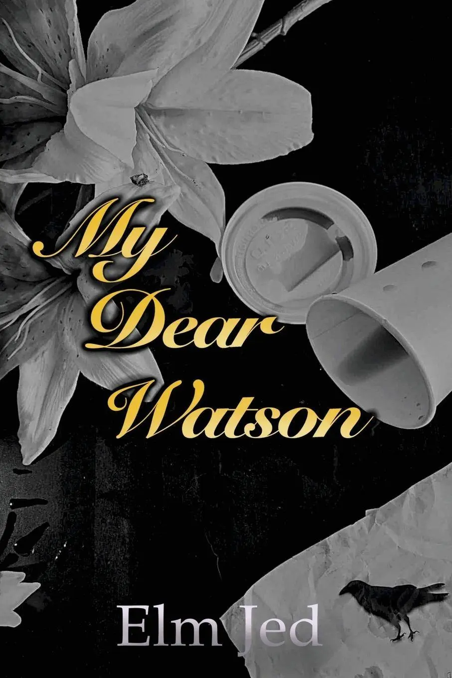 Cover: 9781967019120 | My Dear Watson | Elm Jed | Taschenbuch | My Dear Watson Series | 2024