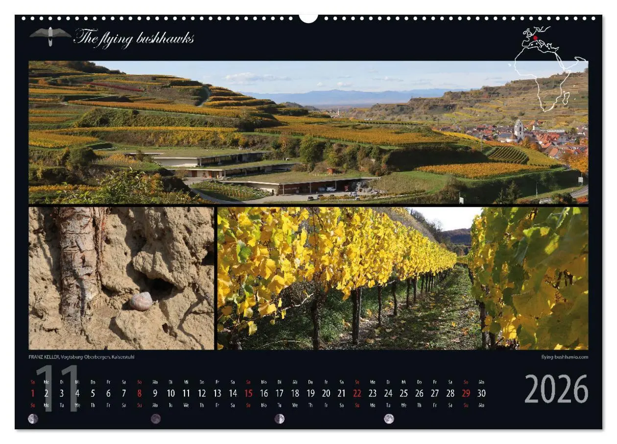 Bild: 9783457279120 | Wein &amp; Architektur 2026 (hochwertiger Premium Wandkalender 2026 DIN...