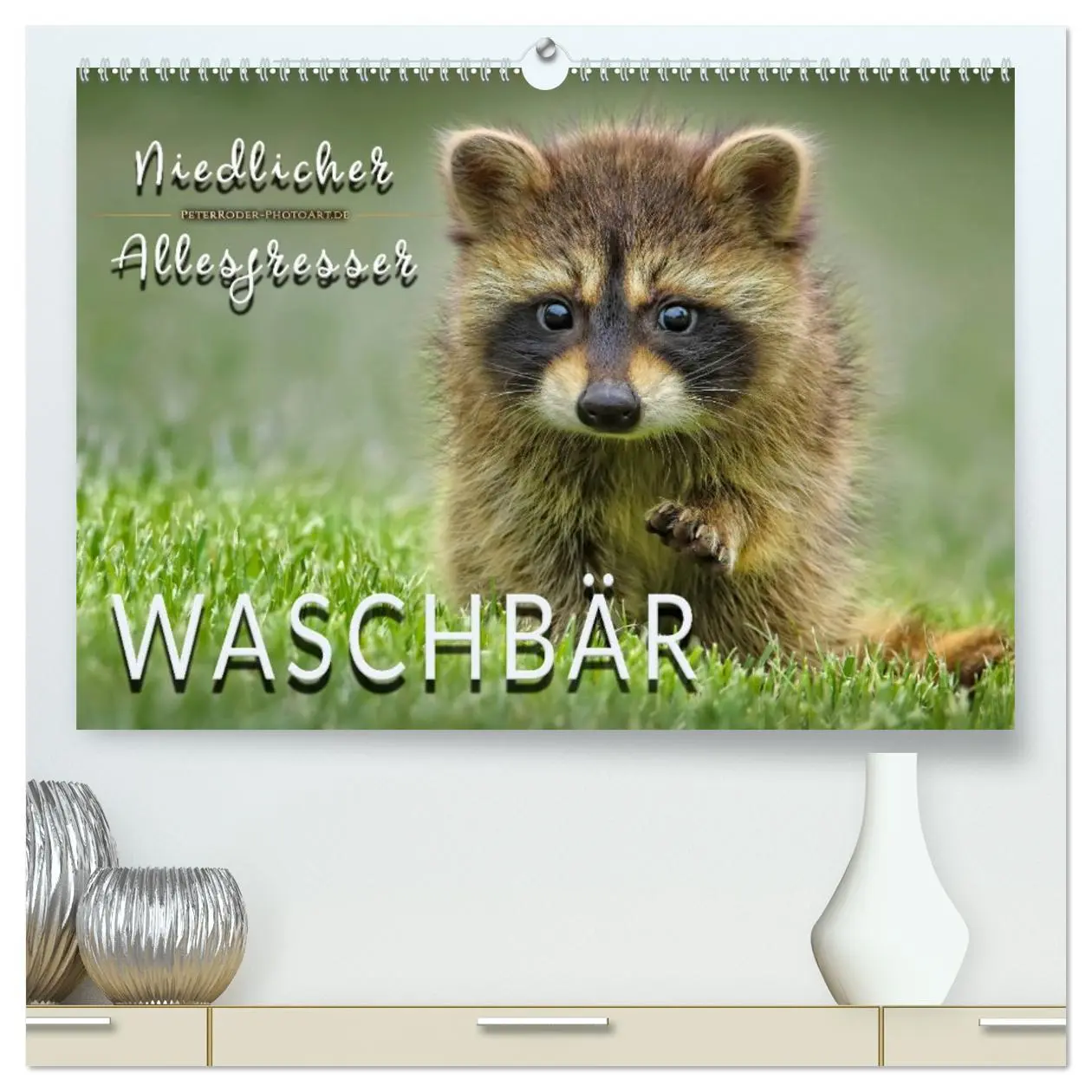 Cover: 9783457729120 | Waschbär - Niedlicher Allesfresser (hochwertiger Premium...