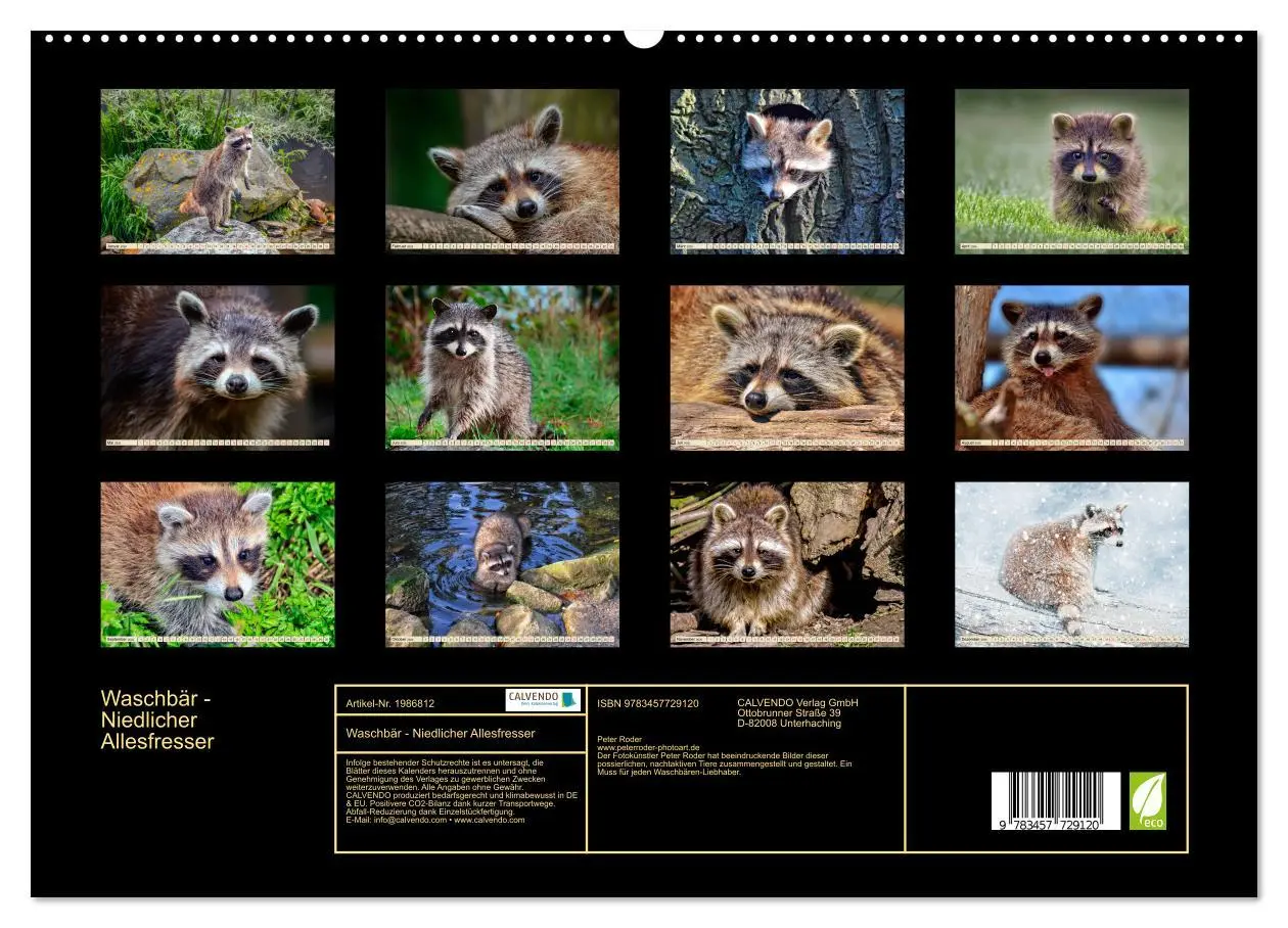 Bild: 9783457729120 | Waschbär - Niedlicher Allesfresser (hochwertiger Premium...