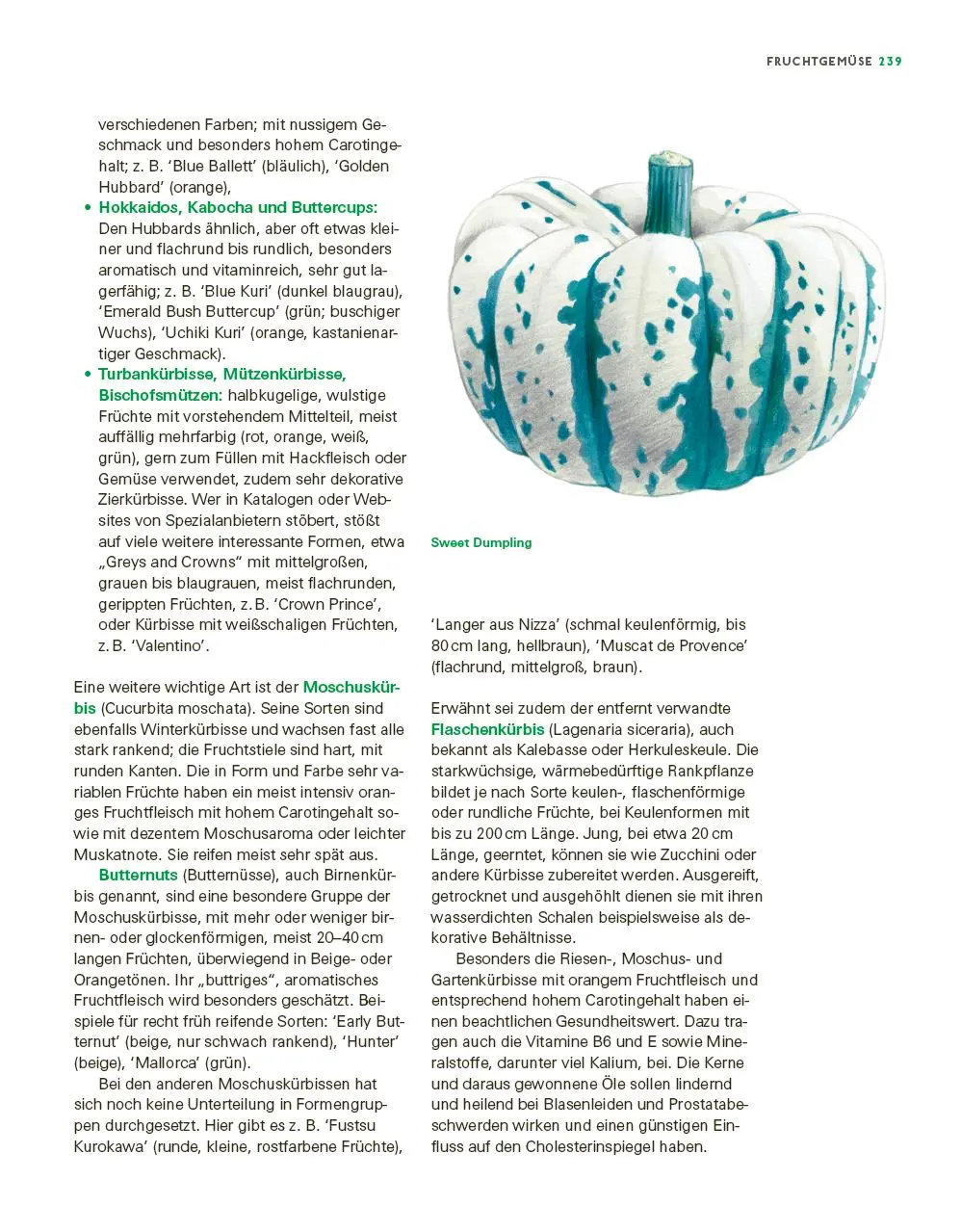 Bild: 9783747109120 | Das große Gemüse- und Obstgartenbuch | Joachim Mayer | Taschenbuch