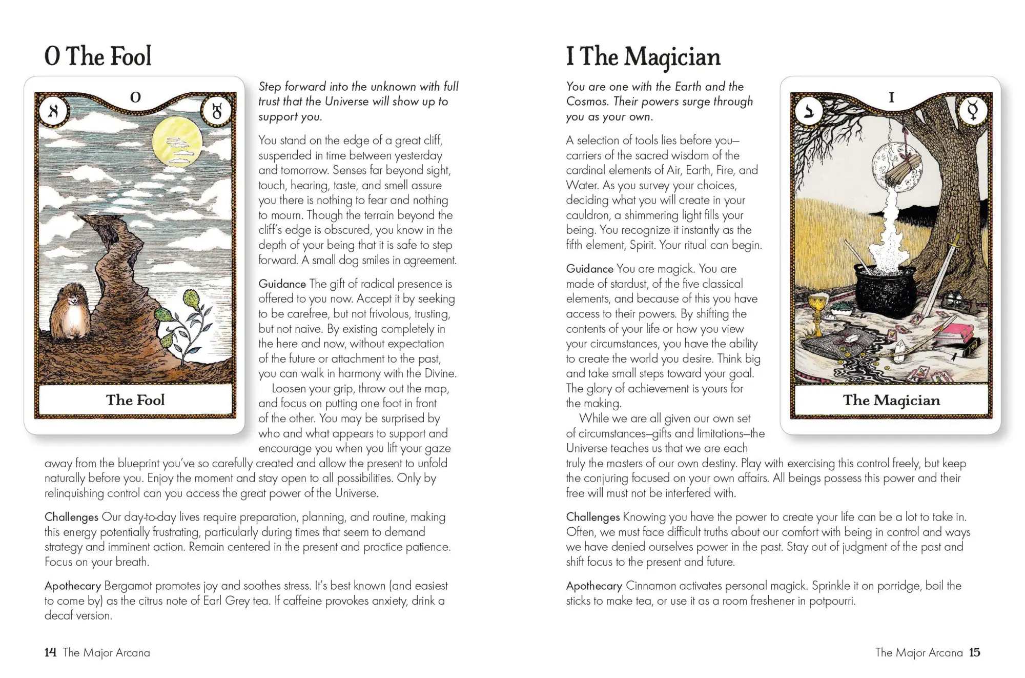 Bild: 9781782499220 | Elemental Power Tarot | Melinda Lee Holm | Box | Englisch | 2020