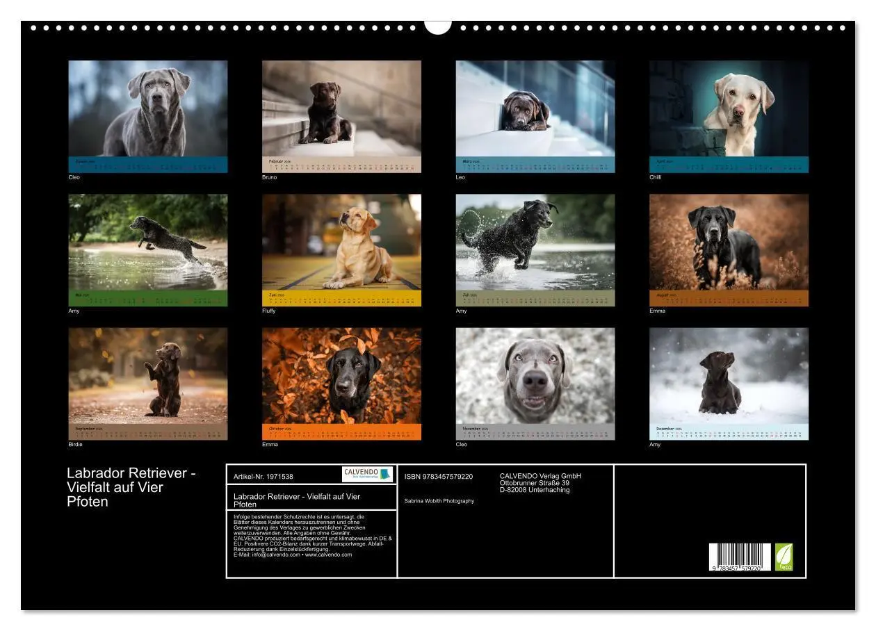 Bild: 9783457579220 | Labrador Retriever - Vielfalt auf Vier Pfoten (Wandkalender 2026...