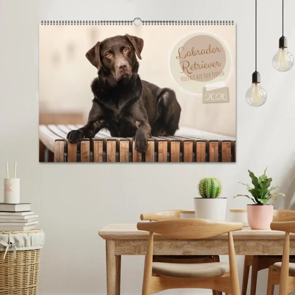Bild: 9783457579220 | Labrador Retriever - Vielfalt auf Vier Pfoten (Wandkalender 2026...