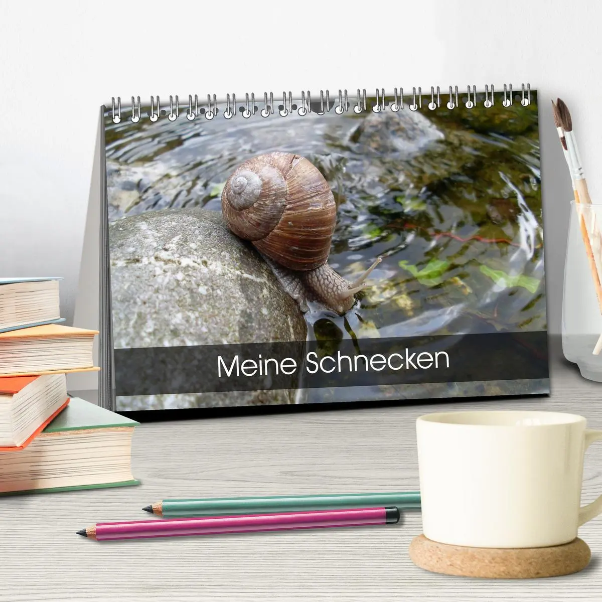 Bild: 9783457959220 | Meine Schnecken (Tischkalender 2026 DIN A5 quer), CALVENDO...