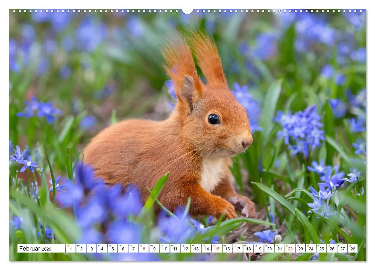 Bild: 9783516119220 | Eichhörnchen im Königlichen Garten (hochwertiger Premium...