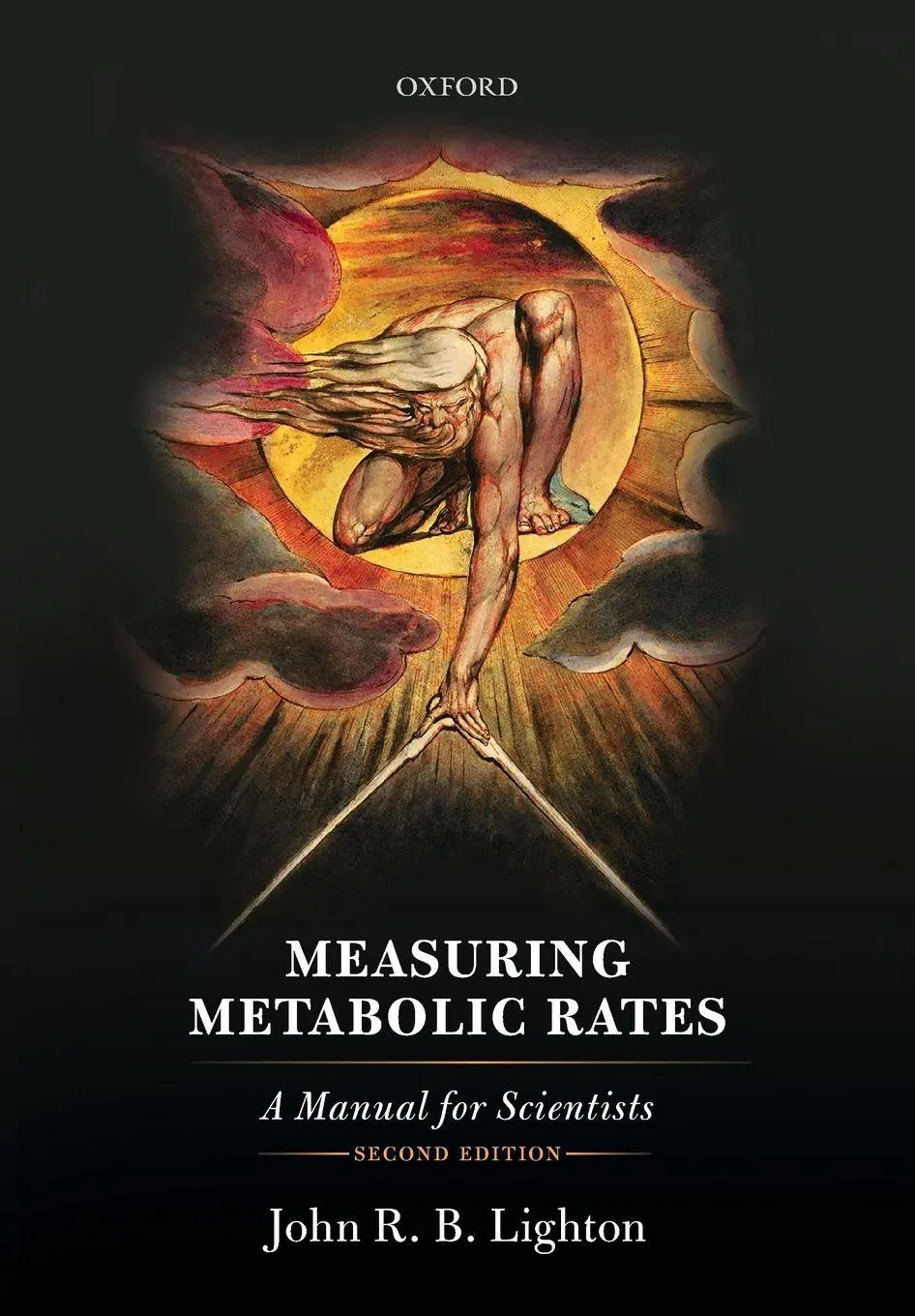 Cover: 9780198869320 | MEASURING METABOLIC RATES 2E P | Lighton | Taschenbuch | Englisch