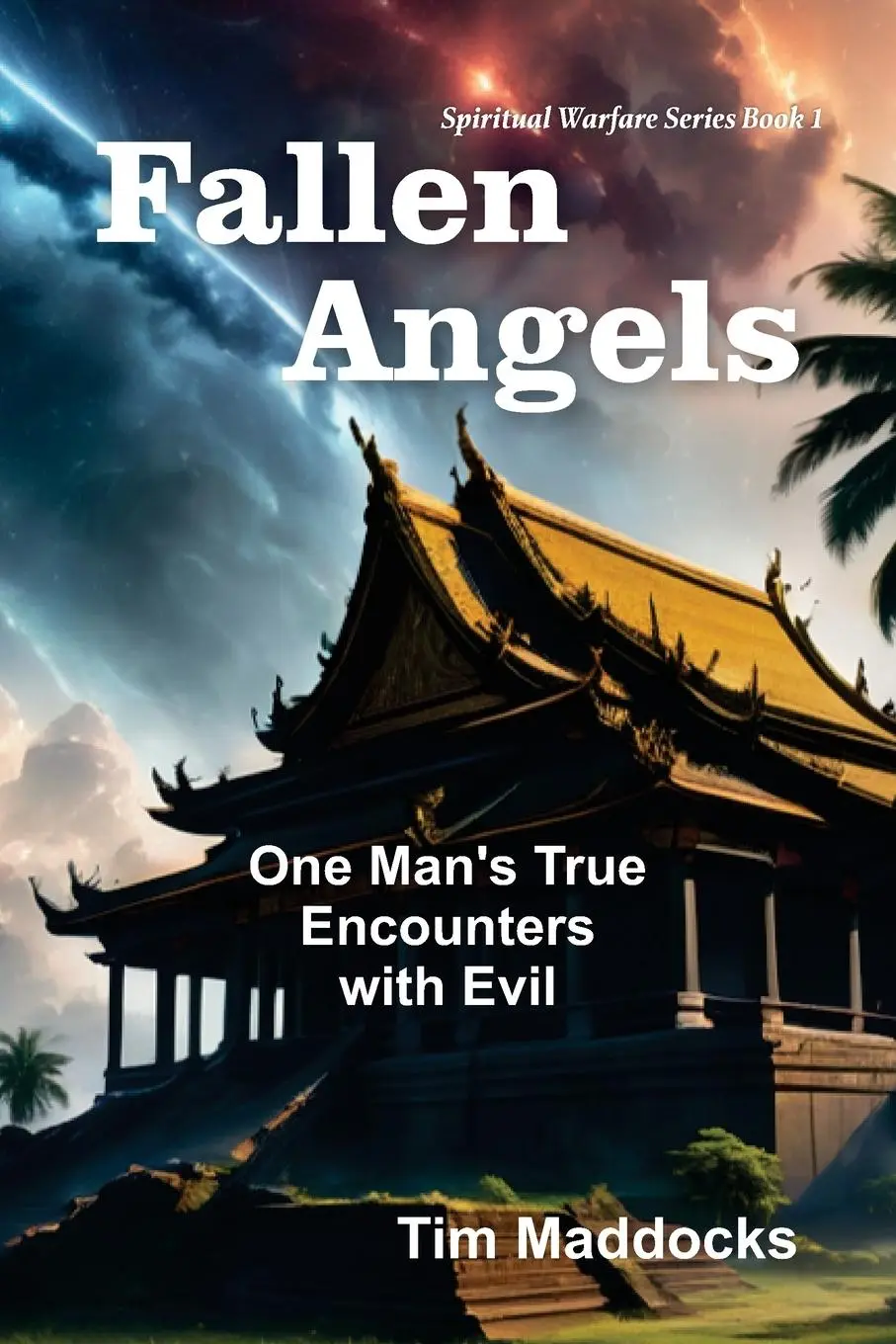 Cover: 9781479619320 | Fallen Angels | One Man's True Encounters with Evil | Tim Maddocks