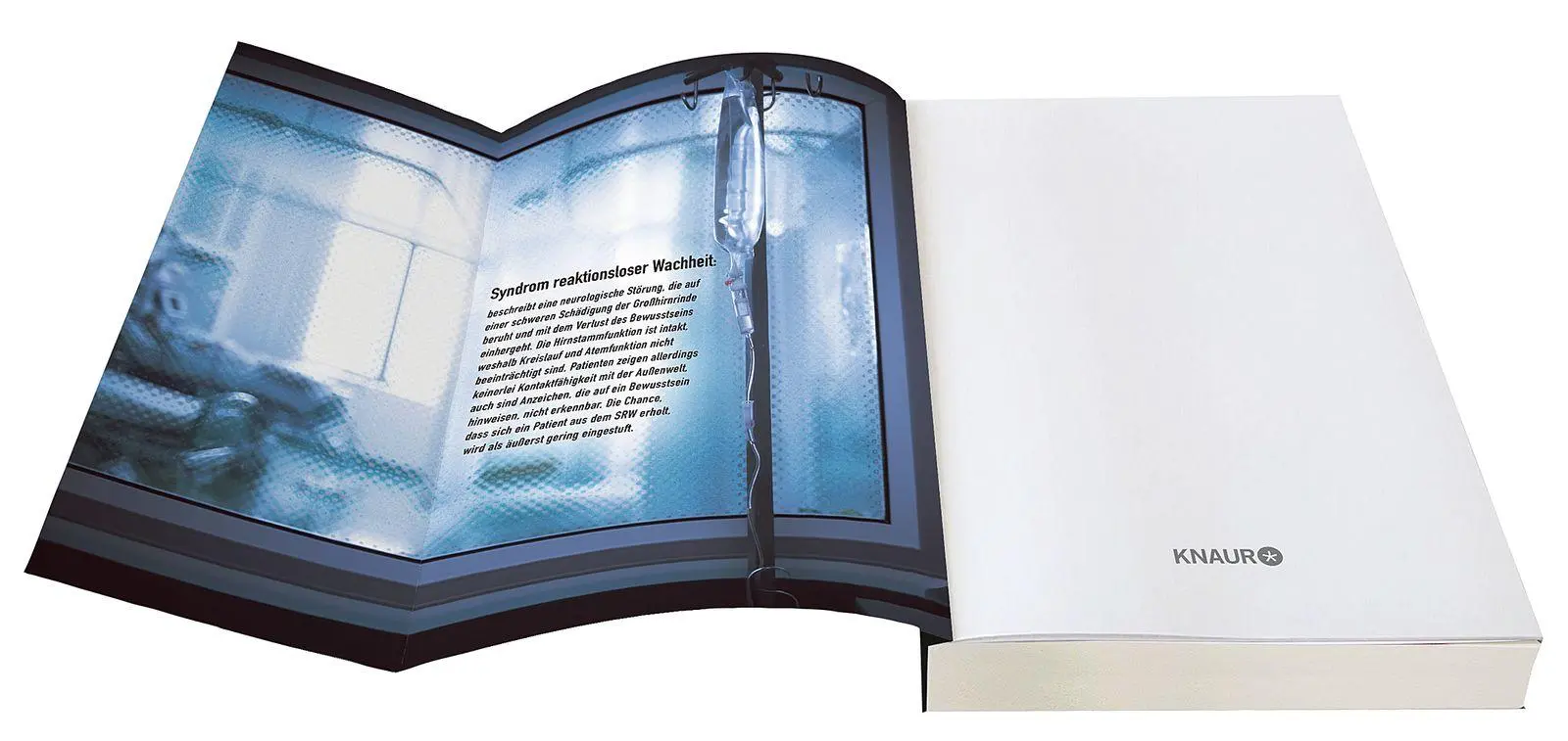 Bild: 9783426569320 | Voices. Ich kann euch hören | Natalie Chandler | Taschenbuch | 352 S.