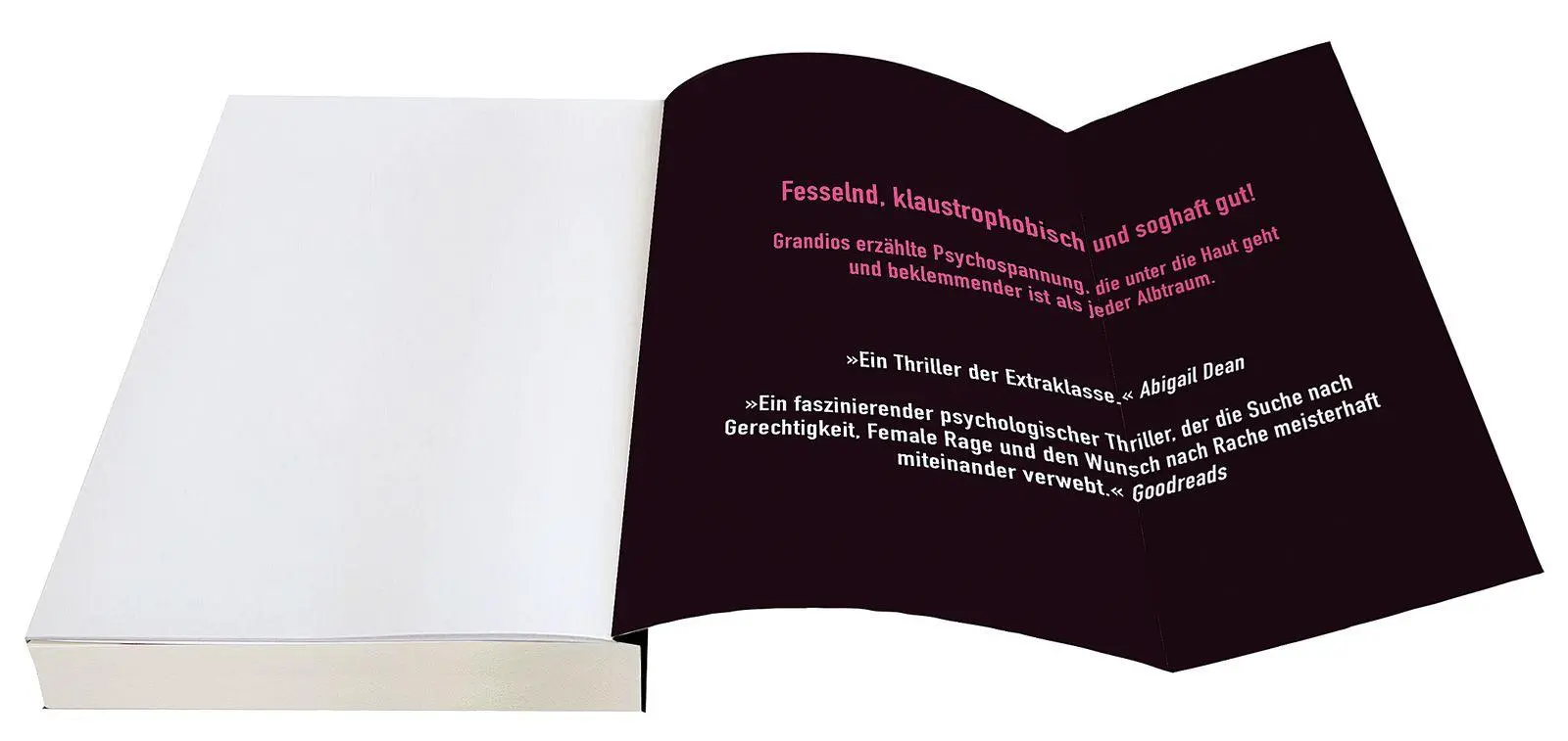 Bild: 9783426569320 | Voices. Ich kann euch hören | Natalie Chandler | Taschenbuch | 352 S.