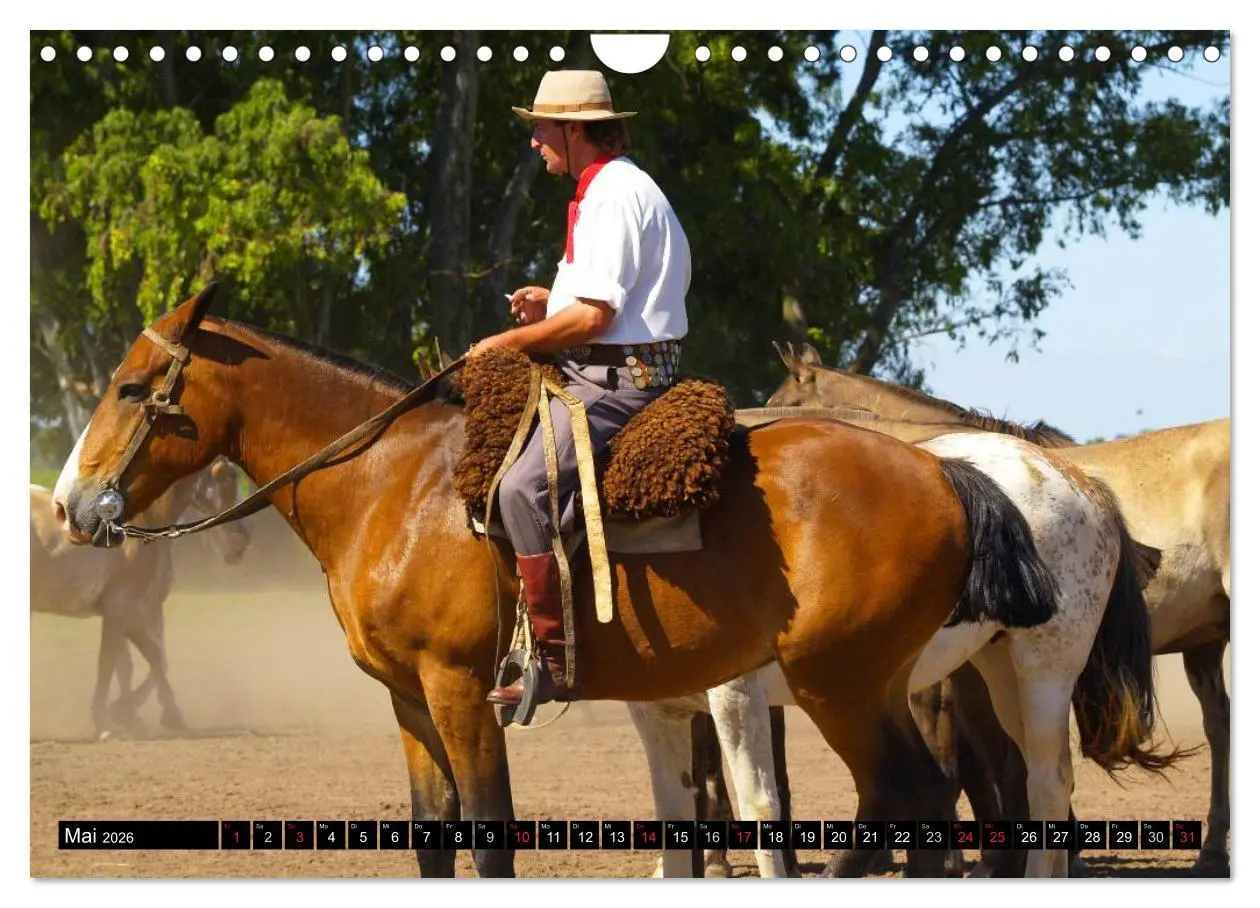 Bild: 9783516109320 | Argentinien - Impressionen (Wandkalender 2026 DIN A4 quer),...