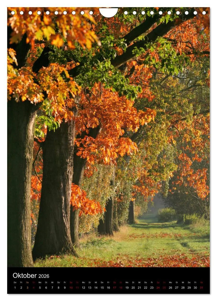 Bild: 9783516419320 | Bäume - Stilles Leben (Wandkalender 2026 DIN A4 hoch), CALVENDO...
