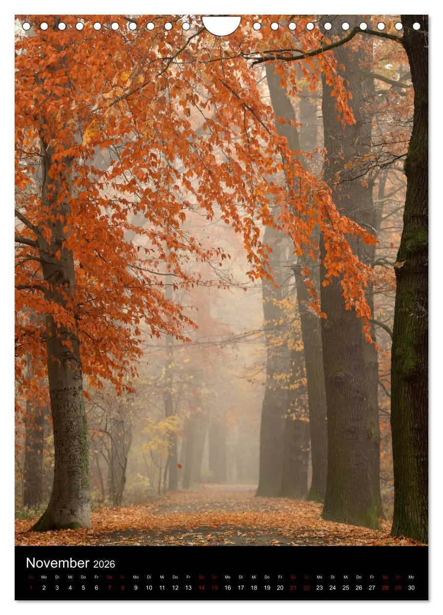 Bild: 9783516419320 | Bäume - Stilles Leben (Wandkalender 2026 DIN A4 hoch), CALVENDO...
