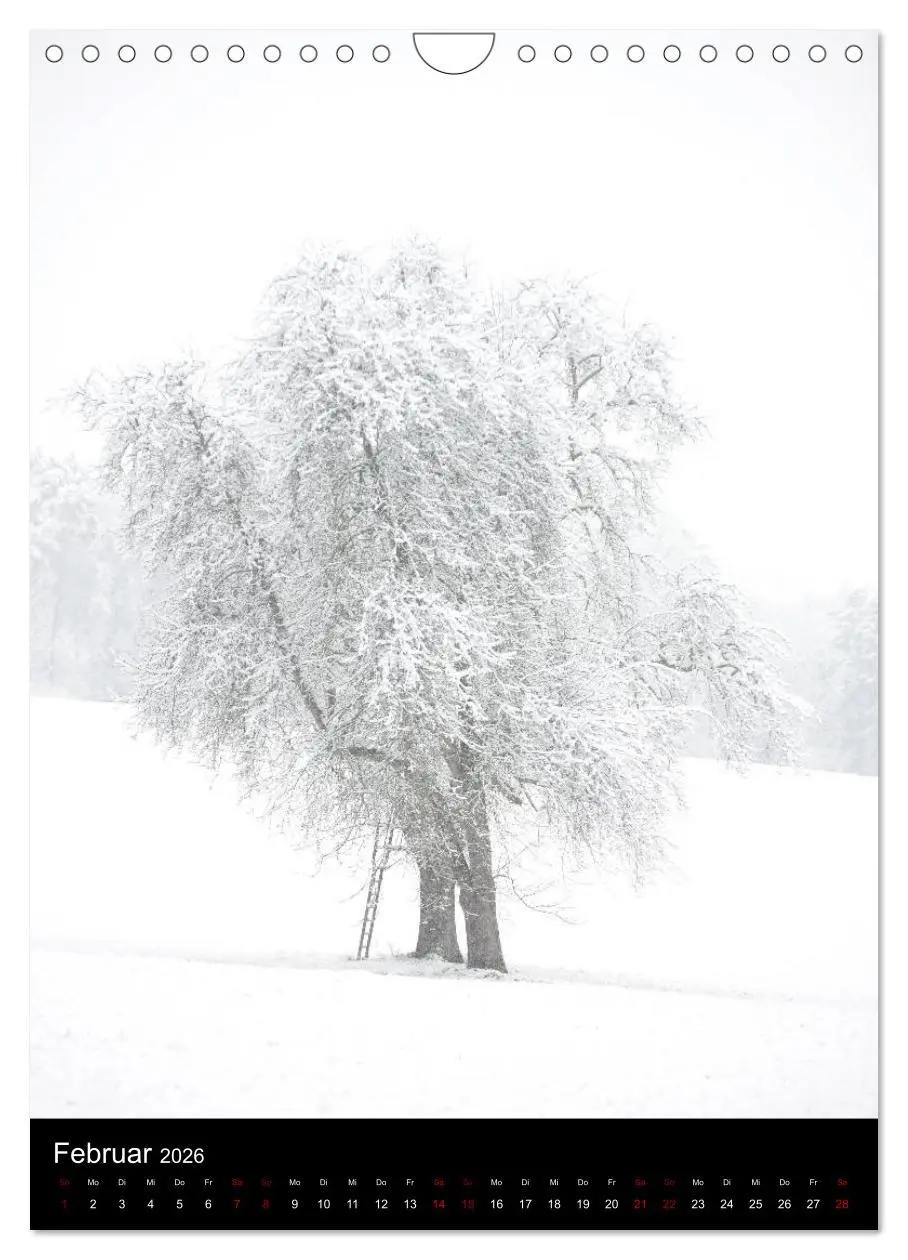 Bild: 9783516419320 | Bäume - Stilles Leben (Wandkalender 2026 DIN A4 hoch), CALVENDO...