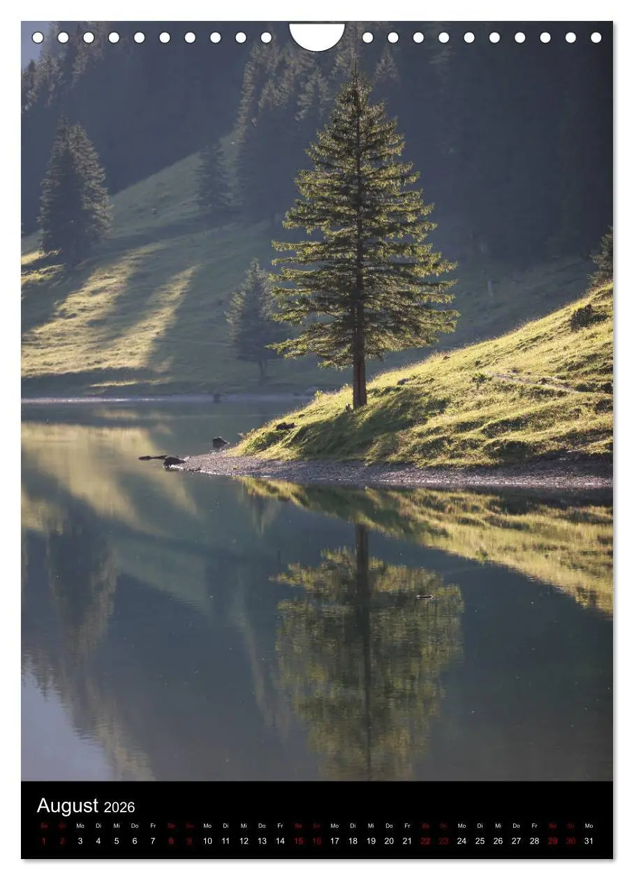 Bild: 9783516419320 | Bäume - Stilles Leben (Wandkalender 2026 DIN A4 hoch), CALVENDO...