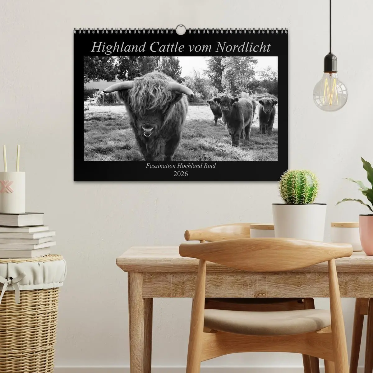 Bild: 9783457939420 | Highland Cattle vom Nordlicht - Faszination Hochland Rind...