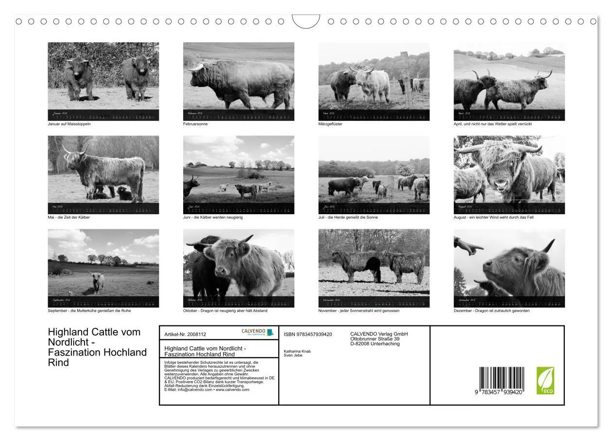 Bild: 9783457939420 | Highland Cattle vom Nordlicht - Faszination Hochland Rind...