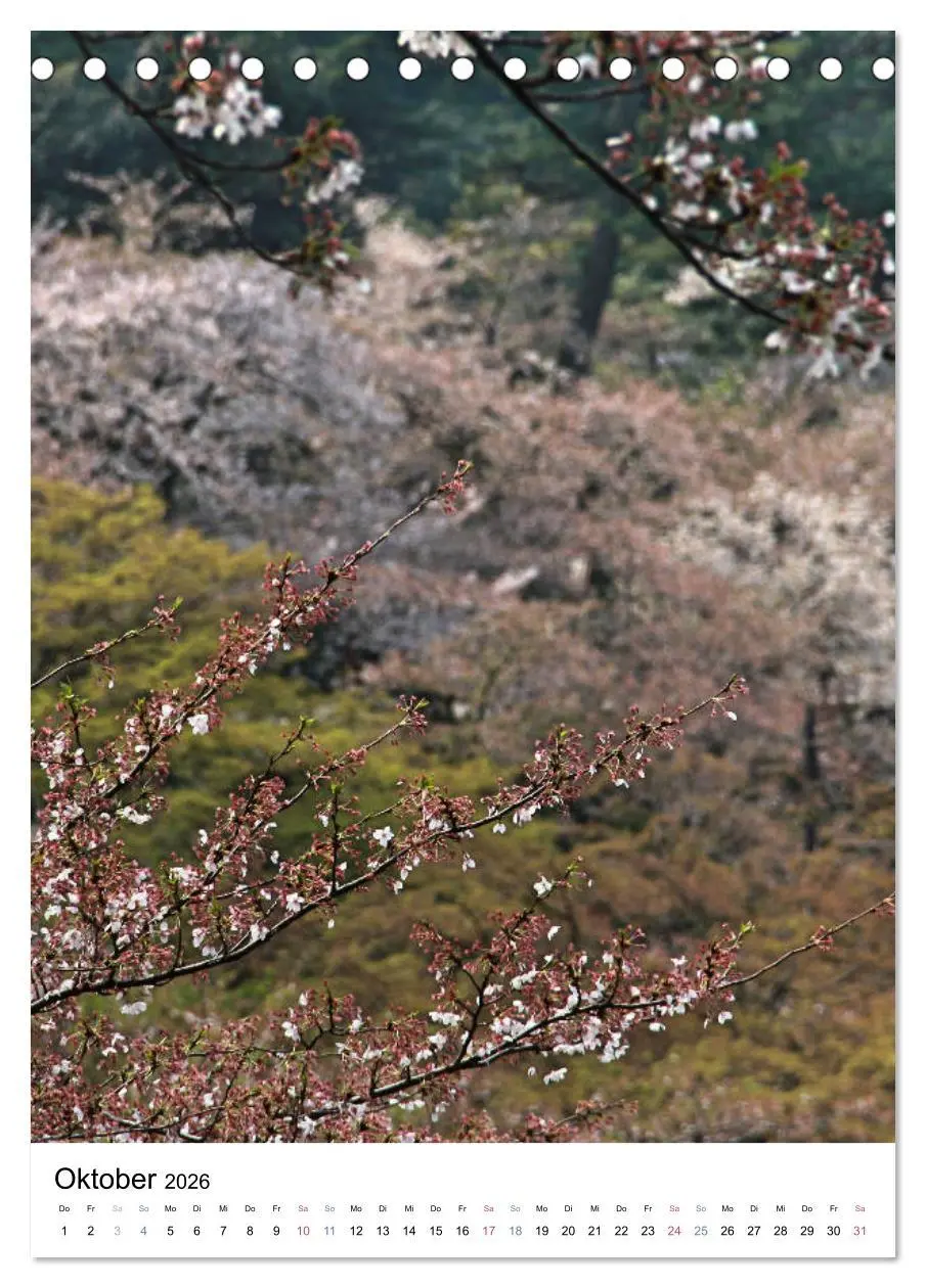Bild: 9783516409420 | Japan - Kirschblüten (Tischkalender 2026 DIN A5 hoch), CALVENDO...