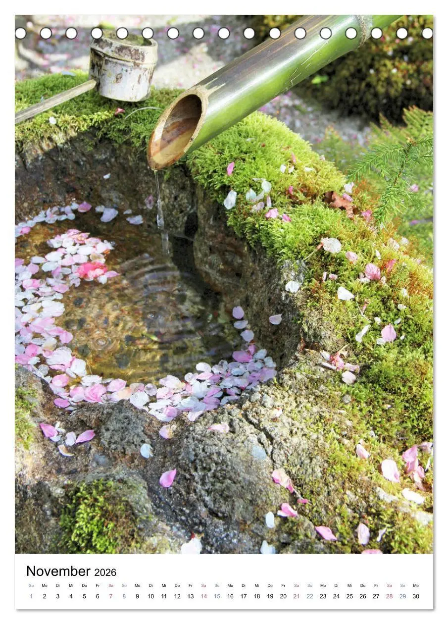 Bild: 9783516409420 | Japan - Kirschblüten (Tischkalender 2026 DIN A5 hoch), CALVENDO...