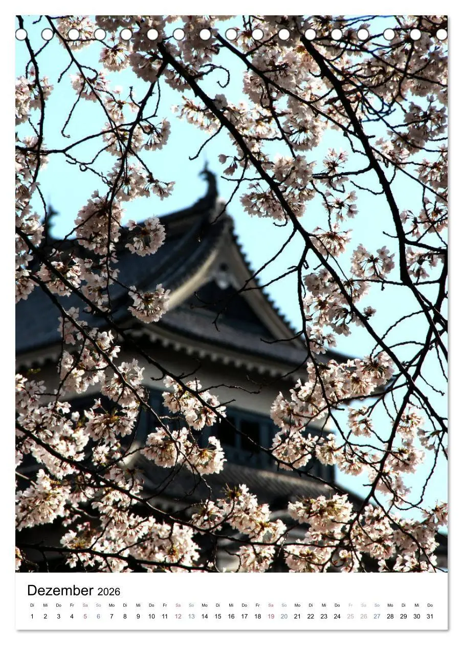 Bild: 9783516409420 | Japan - Kirschblüten (Tischkalender 2026 DIN A5 hoch), CALVENDO...
