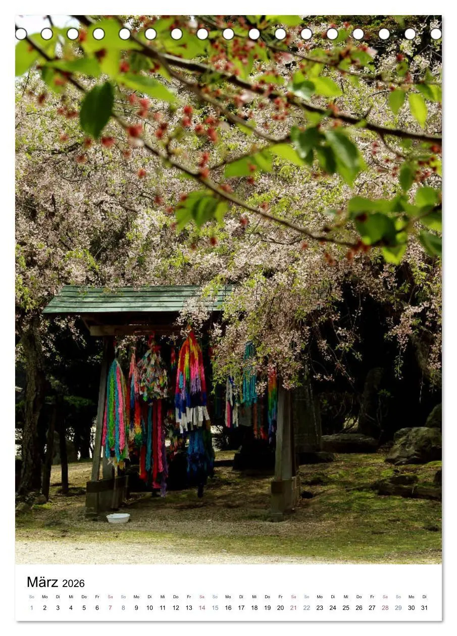 Bild: 9783516409420 | Japan - Kirschblüten (Tischkalender 2026 DIN A5 hoch), CALVENDO...