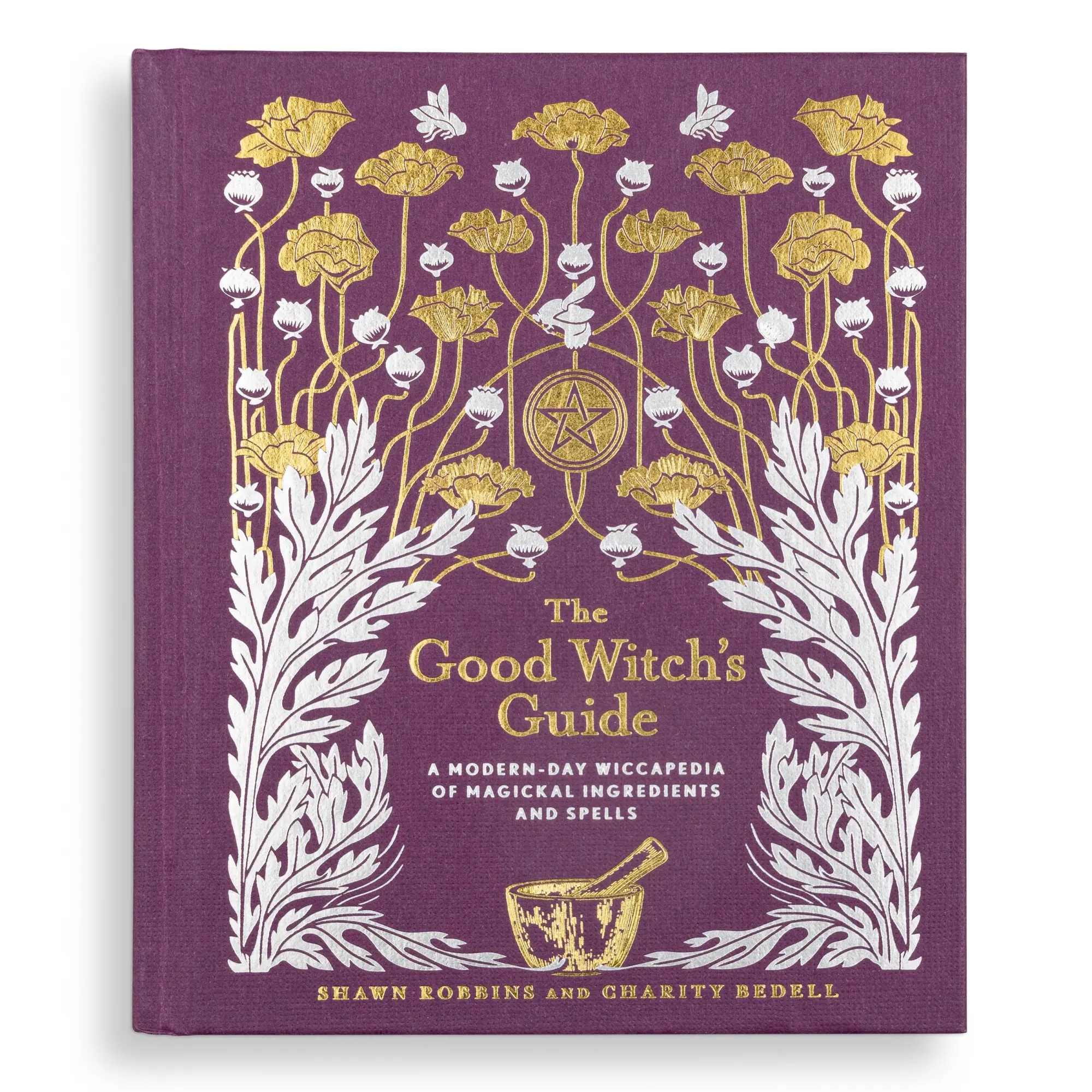 Bild: 9781454919520 | The Good Witch's Guide | Shawn Robbins (u. a.) | Buch | Gebunden