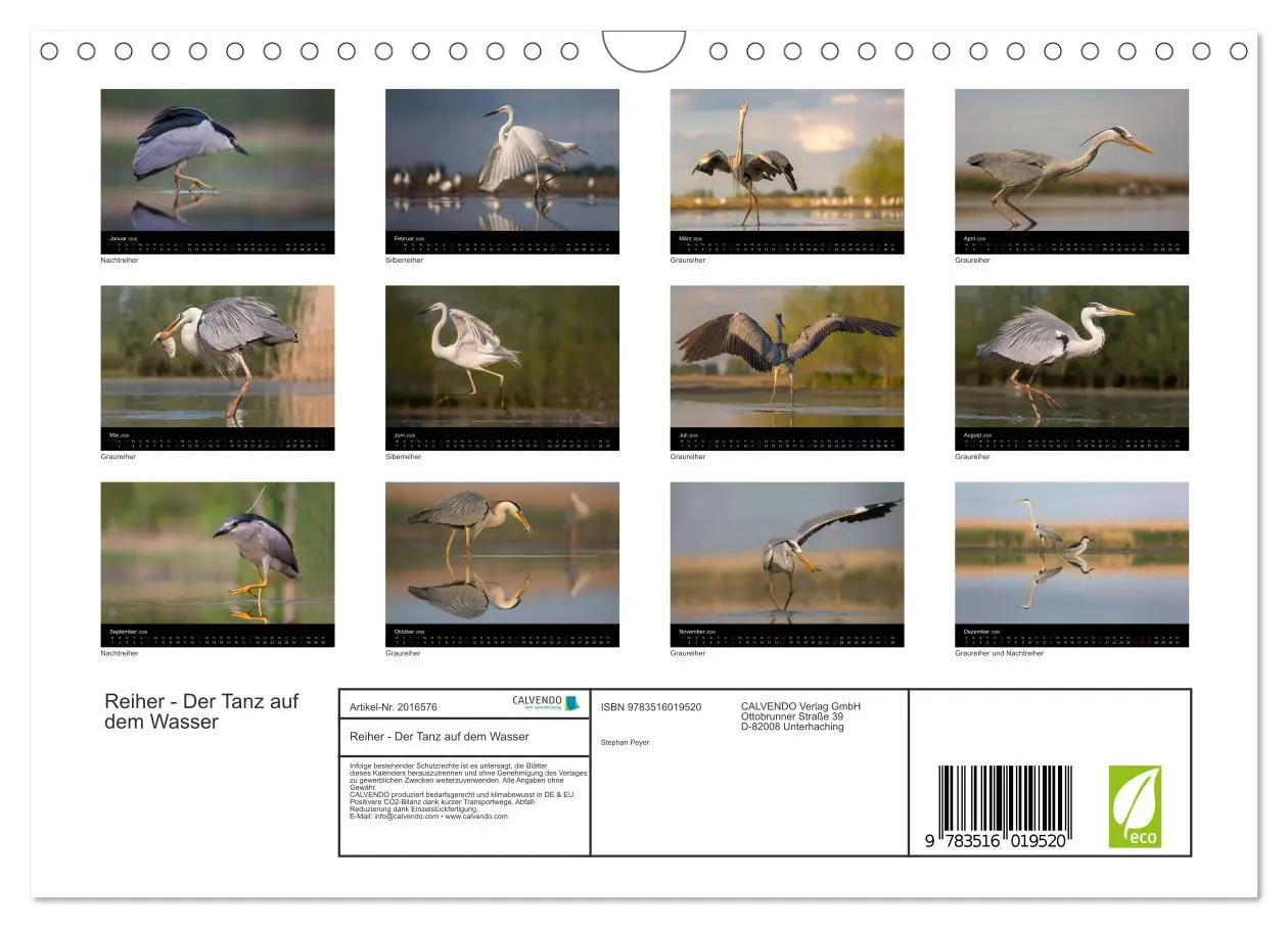 Bild: 9783516019520 | Reiher - Der Tanz auf dem Wasser (Wandkalender 2026 DIN A4 quer),...