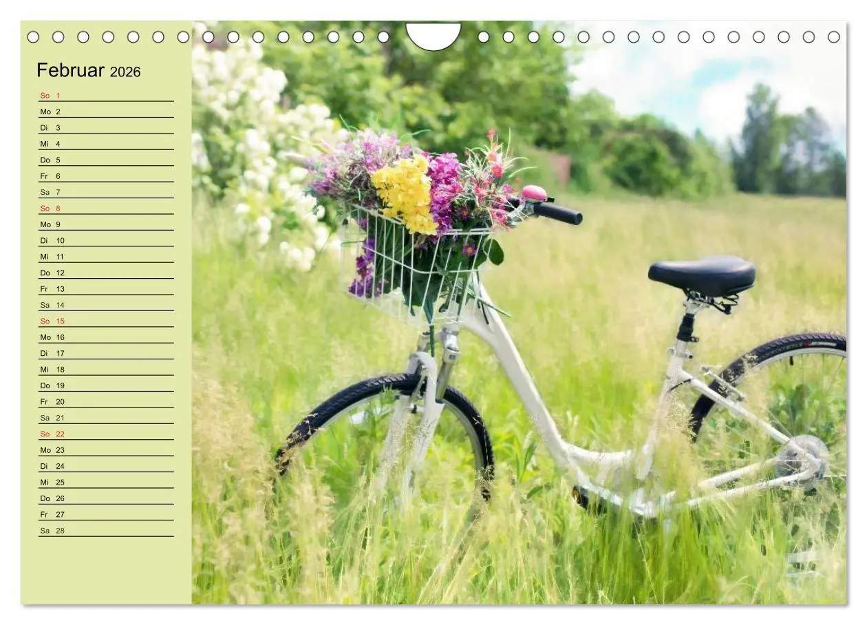 Bild: 9783516009620 | Landhaus-Romantik. Die Farben des Sommers (Wandkalender 2026 DIN A4...