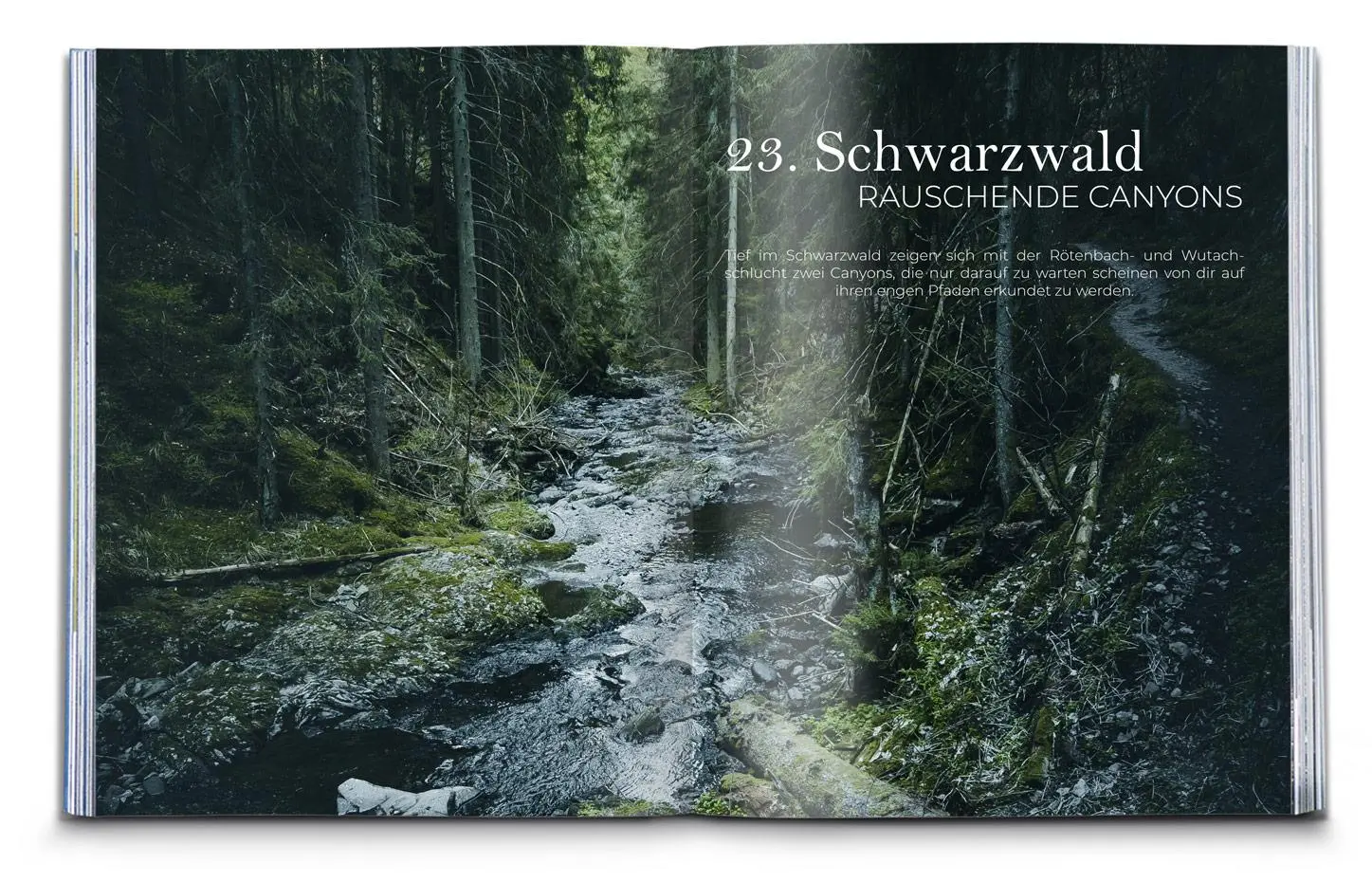 Bild: 9783991219620 | Wilder Places - 30 Streifzüge durch ein wildes Deutschland | Buch