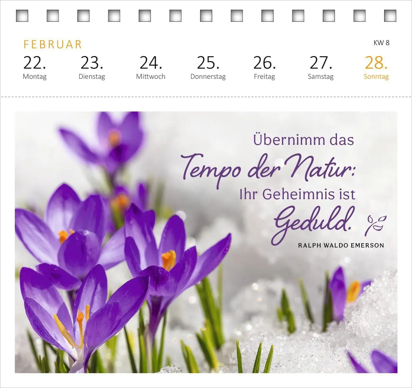 Bild: 4014489139720 | Postkartenkalender Gartenglück 2027 | Kalender | Spiralaufsteller