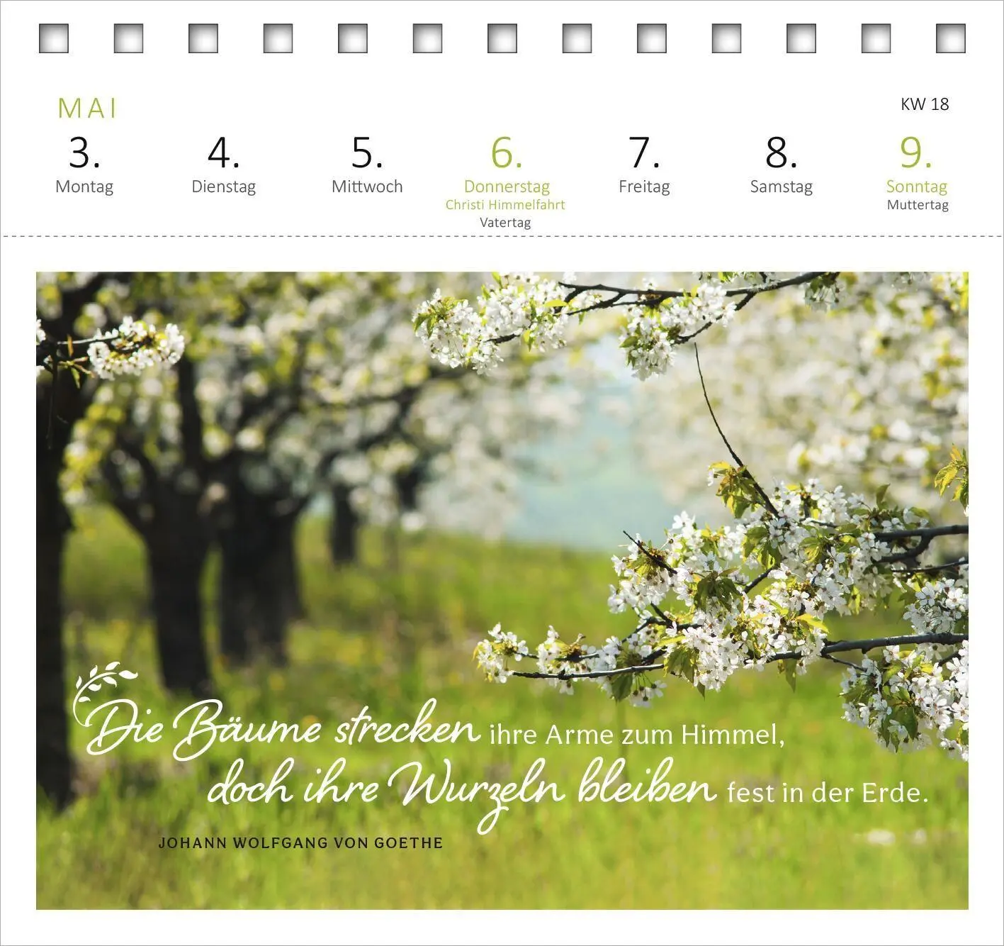 Bild: 4014489139720 | Postkartenkalender Gartenglück 2027 | Kalender | Spiralaufsteller