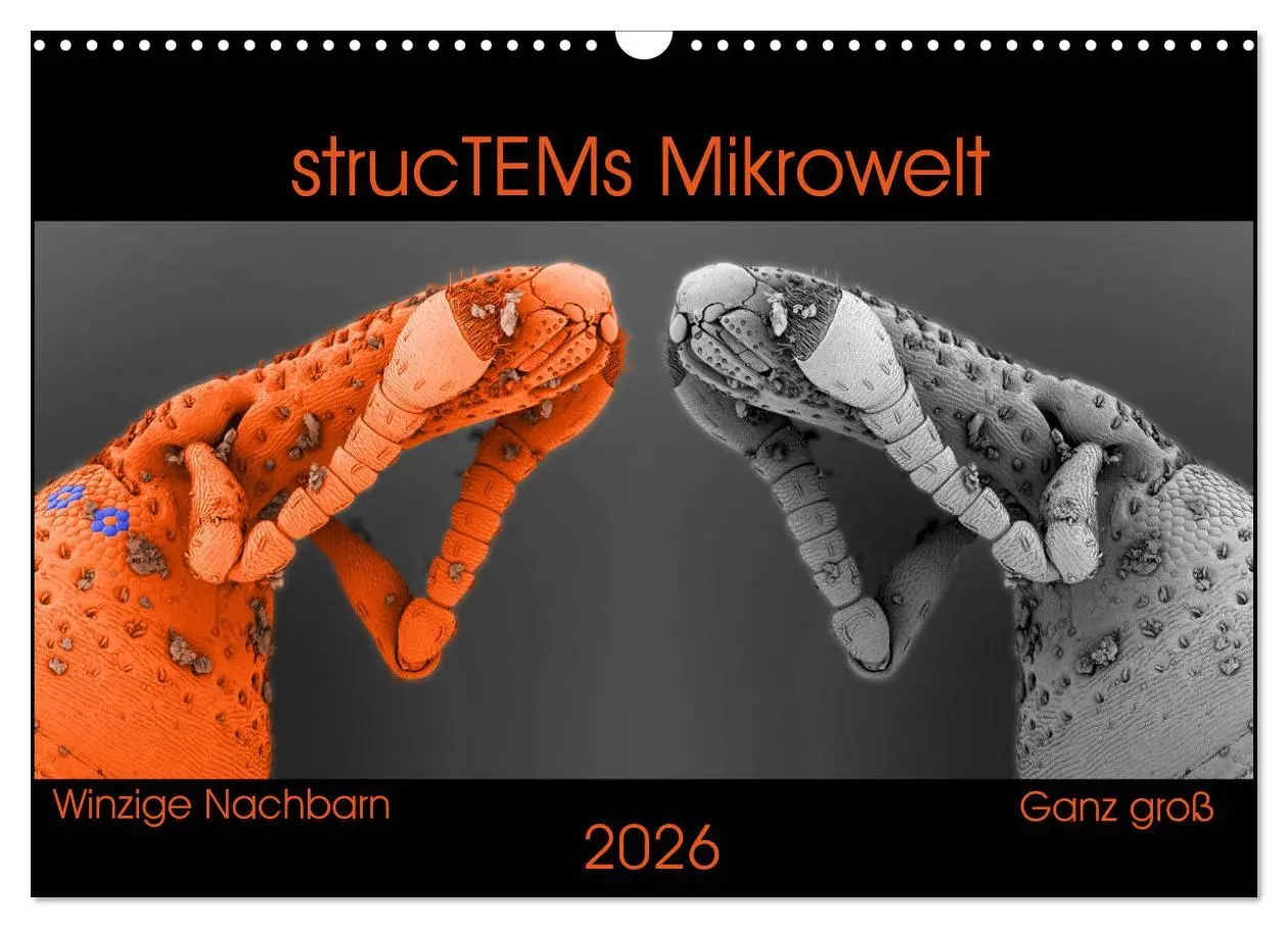 Cover: 9783457839720 | strucTEMs Mikrowelt - Winzige Nachbarn ganz groß (Wandkalender 2026...
