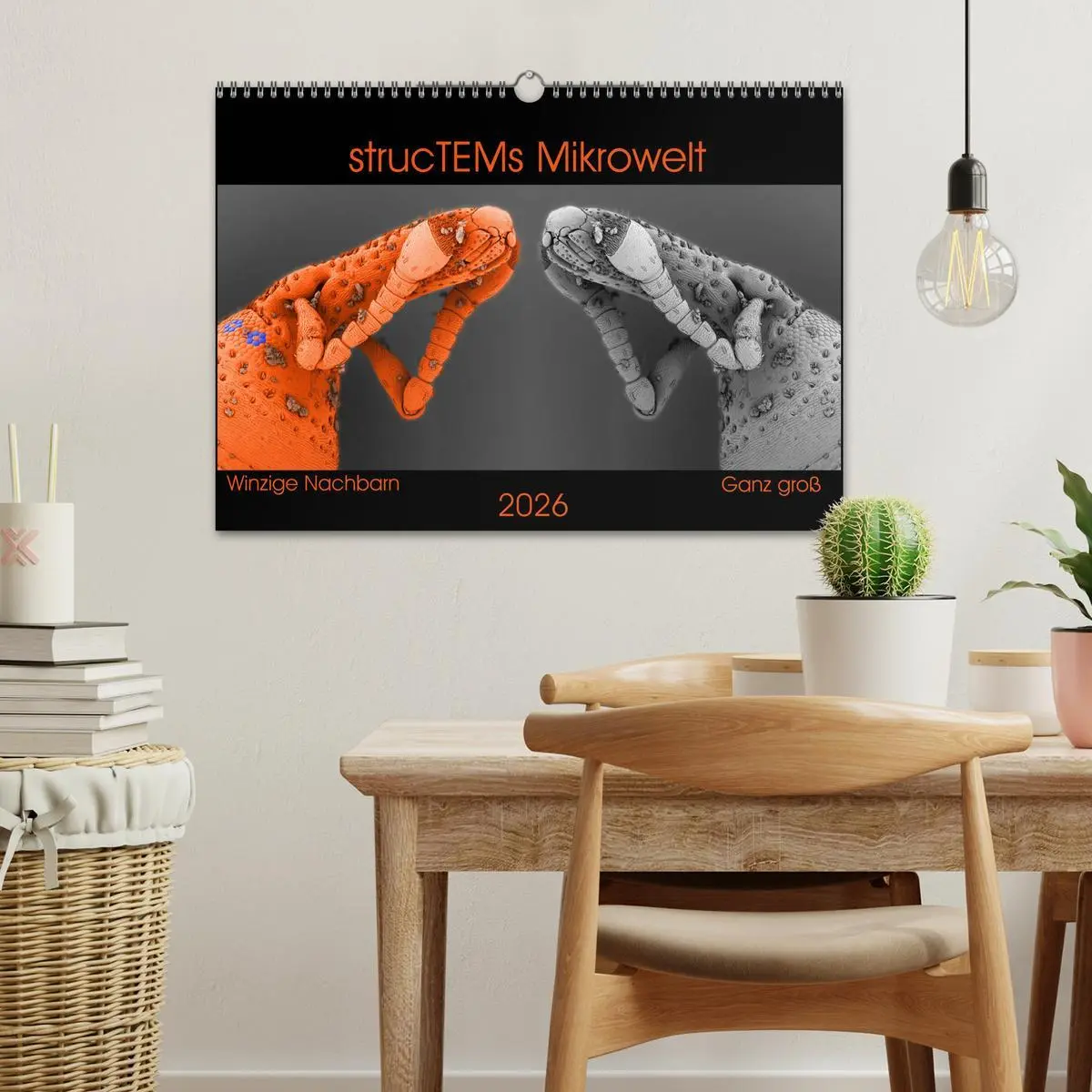 Bild: 9783457839720 | strucTEMs Mikrowelt - Winzige Nachbarn ganz groß (Wandkalender 2026...