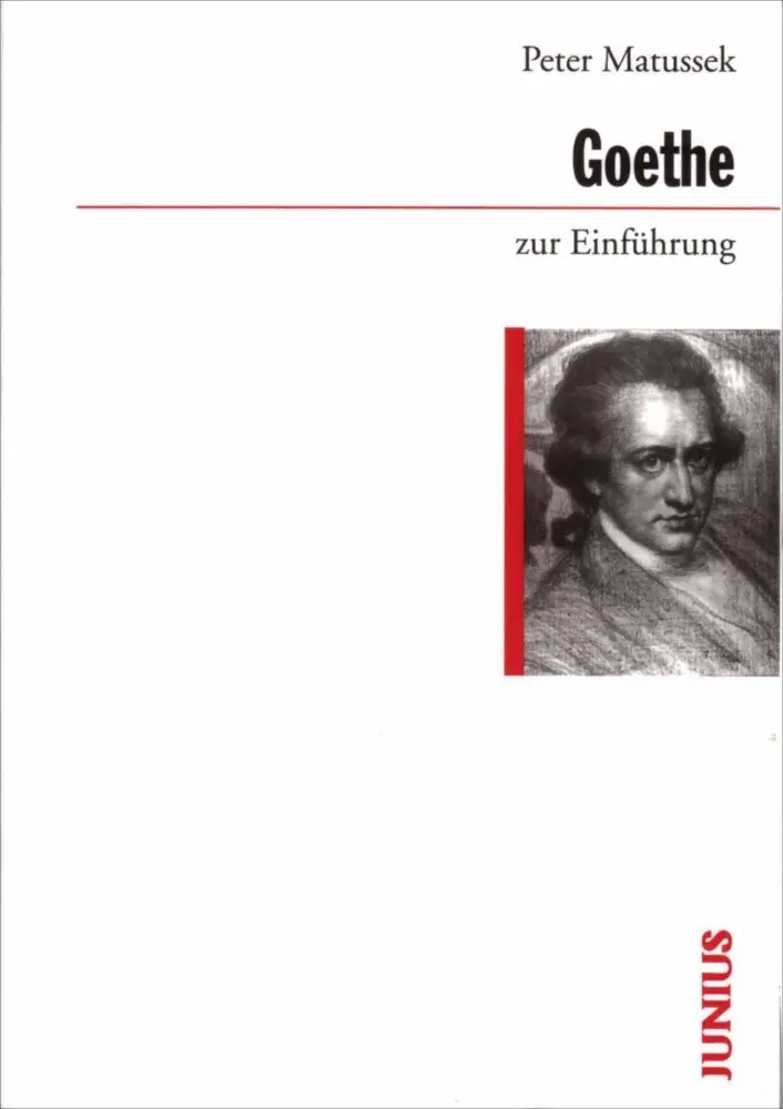 Cover: 9783885069720 | Goethe zur Einführung | Peter Matussek | Taschenbuch | 240 S. | 2002